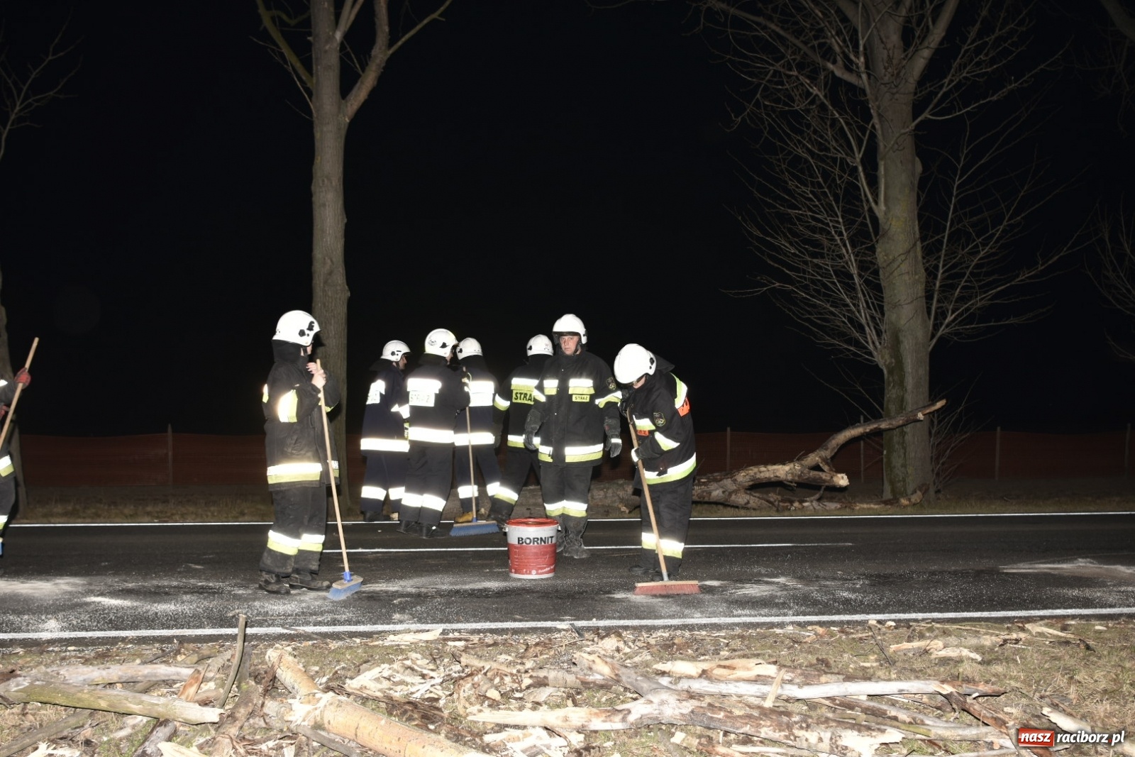 Zdjęcie w galerii na portalu naszraciborz.pl: Drzewo uszkodziło samochód na drodze Pietrowice Wielkie-Kietrz  wiadomości z regionu