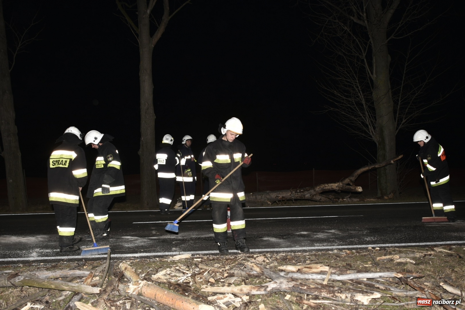 Zdjęcie w galerii na portalu naszraciborz.pl: Drzewo uszkodziło samochód na drodze Pietrowice Wielkie-Kietrz  wiadomości z regionu