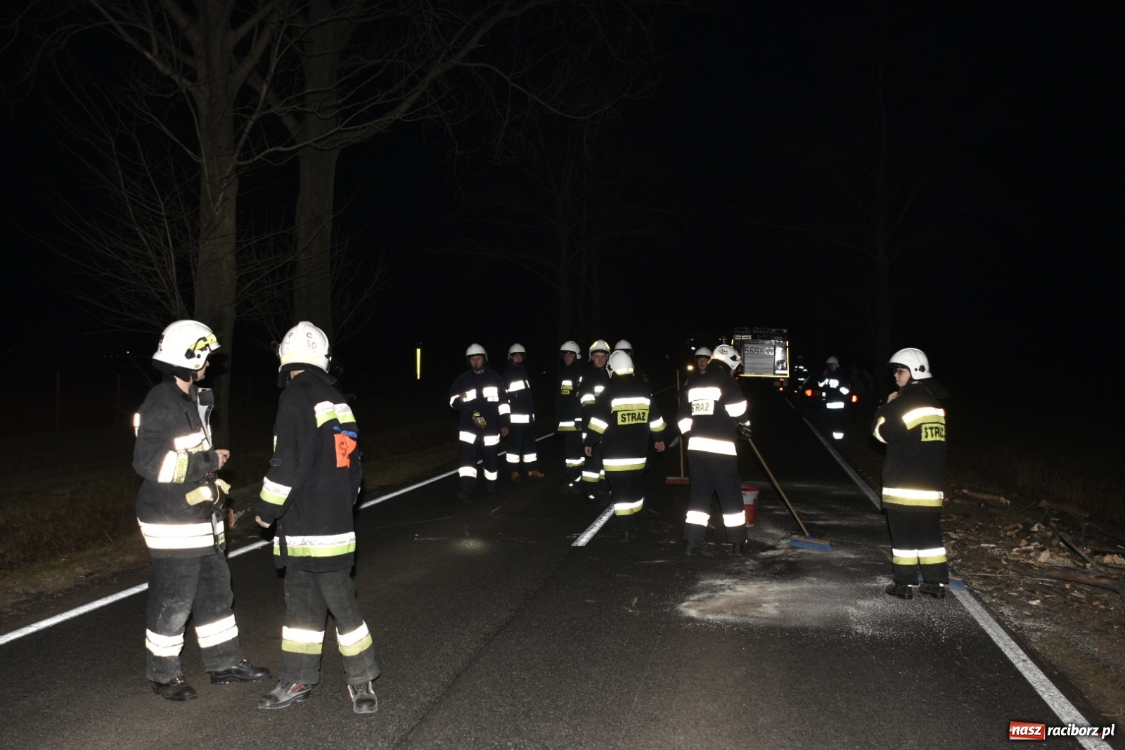 Zdjęcie w galerii na portalu naszraciborz.pl: Drzewo uszkodziło samochód na drodze Pietrowice Wielkie-Kietrz  wiadomości z regionu