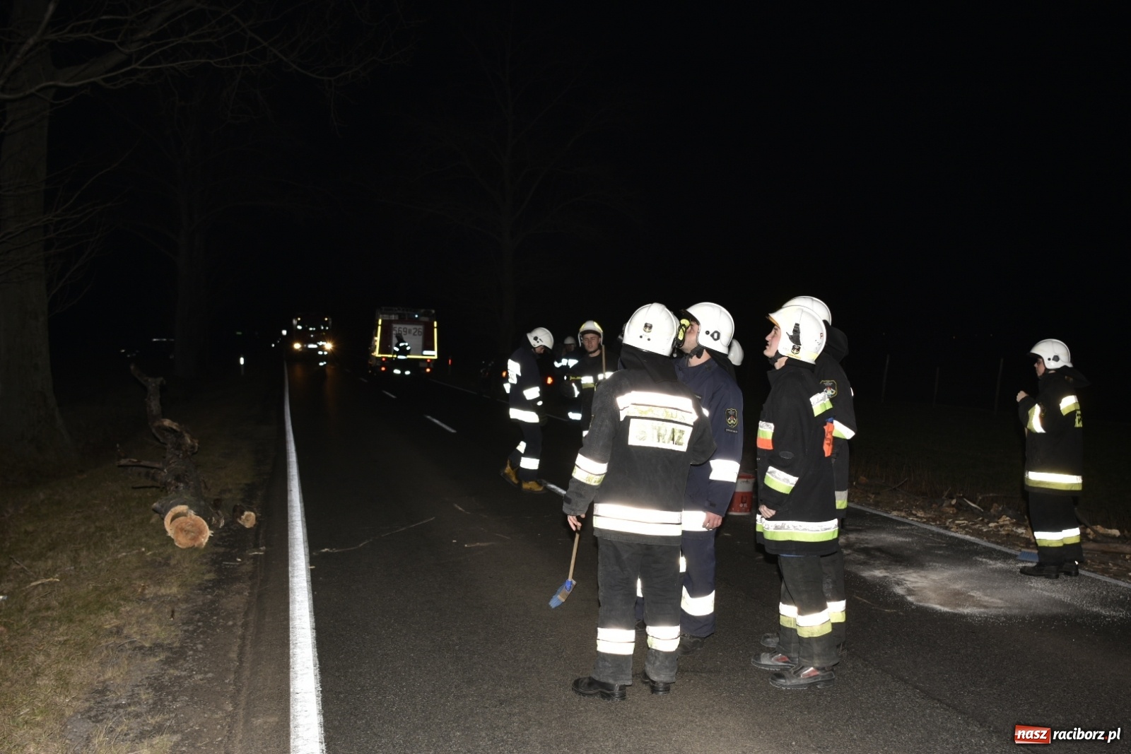 Zdjęcie w galerii na portalu naszraciborz.pl: Drzewo uszkodziło samochód na drodze Pietrowice Wielkie-Kietrz  wiadomości z regionu