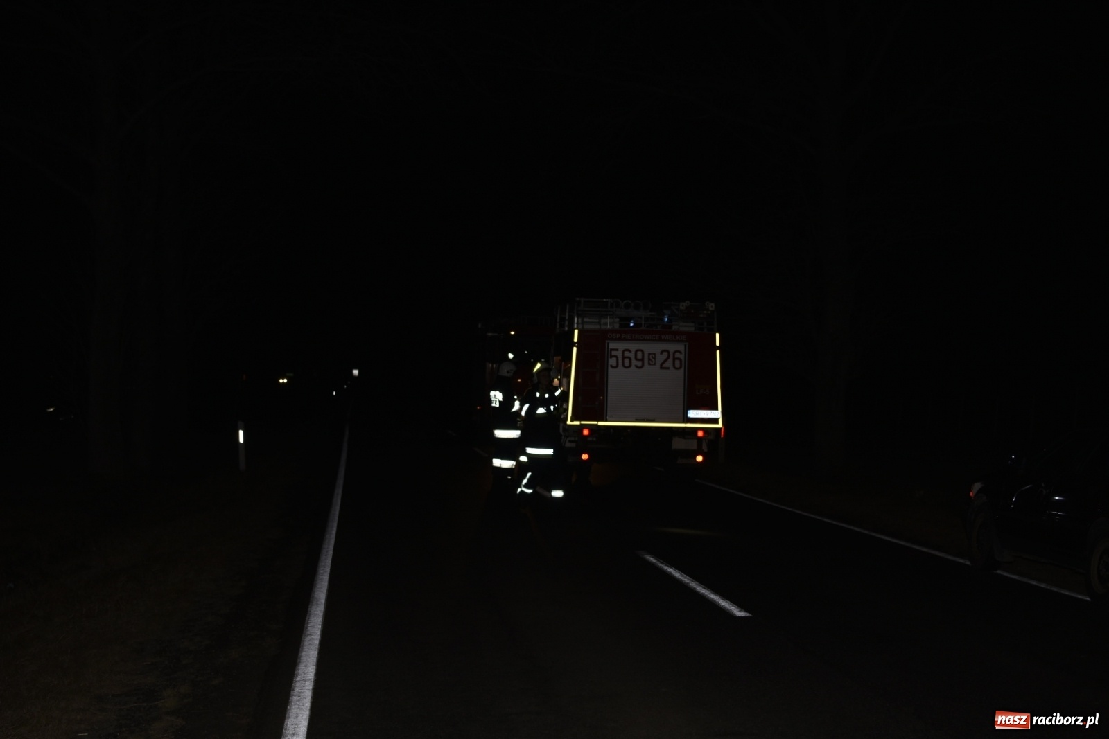 Zdjęcie w galerii na portalu naszraciborz.pl: Drzewo uszkodziło samochód na drodze Pietrowice Wielkie-Kietrz  wiadomości z regionu