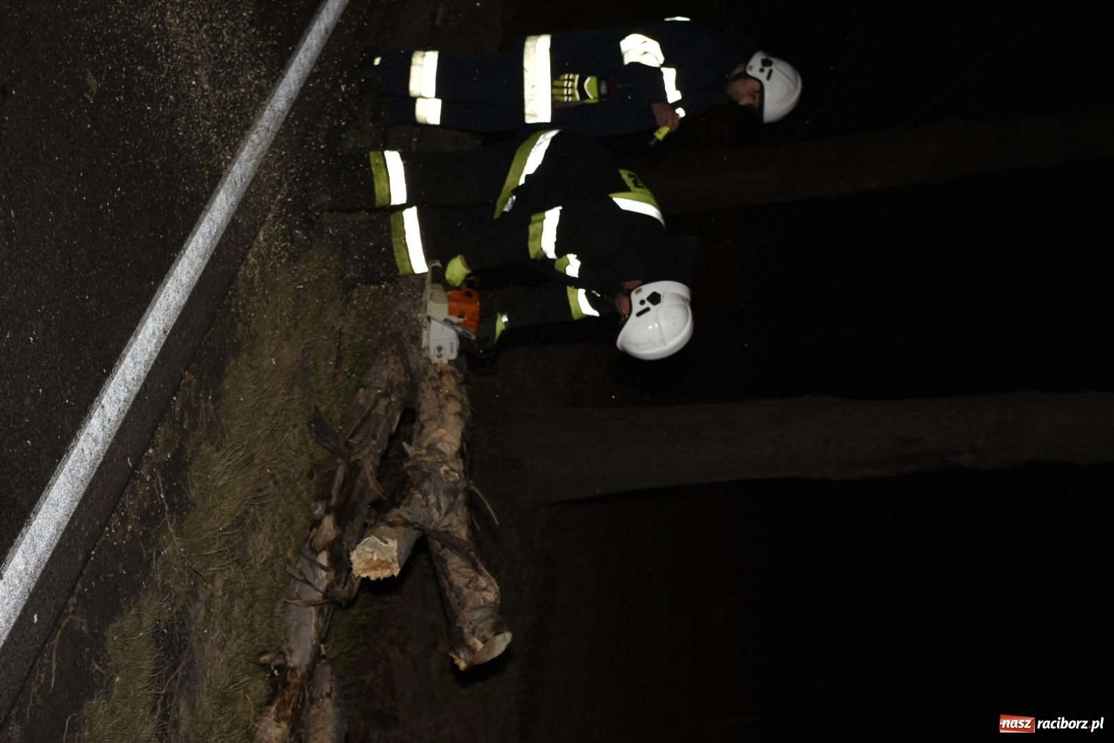 Zdjęcie w galerii na portalu naszraciborz.pl: Drzewo uszkodziło samochód na drodze Pietrowice Wielkie-Kietrz  wiadomości z regionu