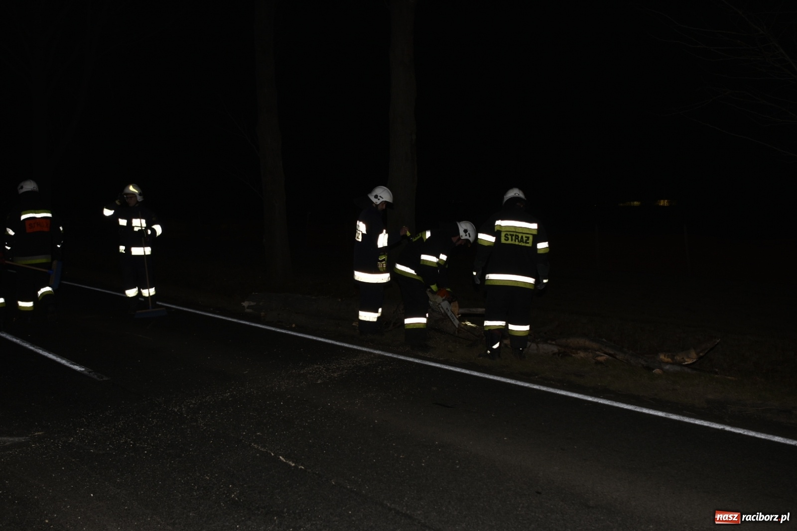 Zdjęcie w galerii na portalu naszraciborz.pl: Drzewo uszkodziło samochód na drodze Pietrowice Wielkie-Kietrz  wiadomości z regionu