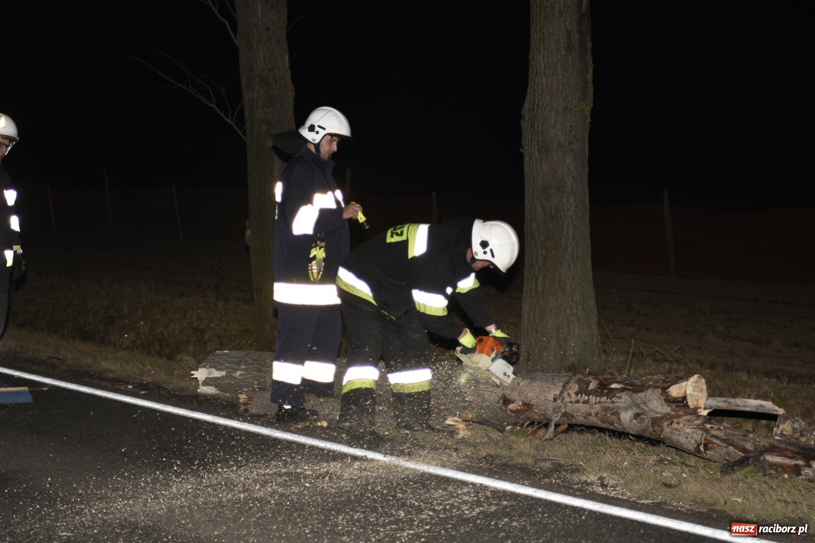 Zdjęcie w galerii na portalu naszraciborz.pl: Drzewo uszkodziło samochód na drodze Pietrowice Wielkie-Kietrz  wiadomości z regionu