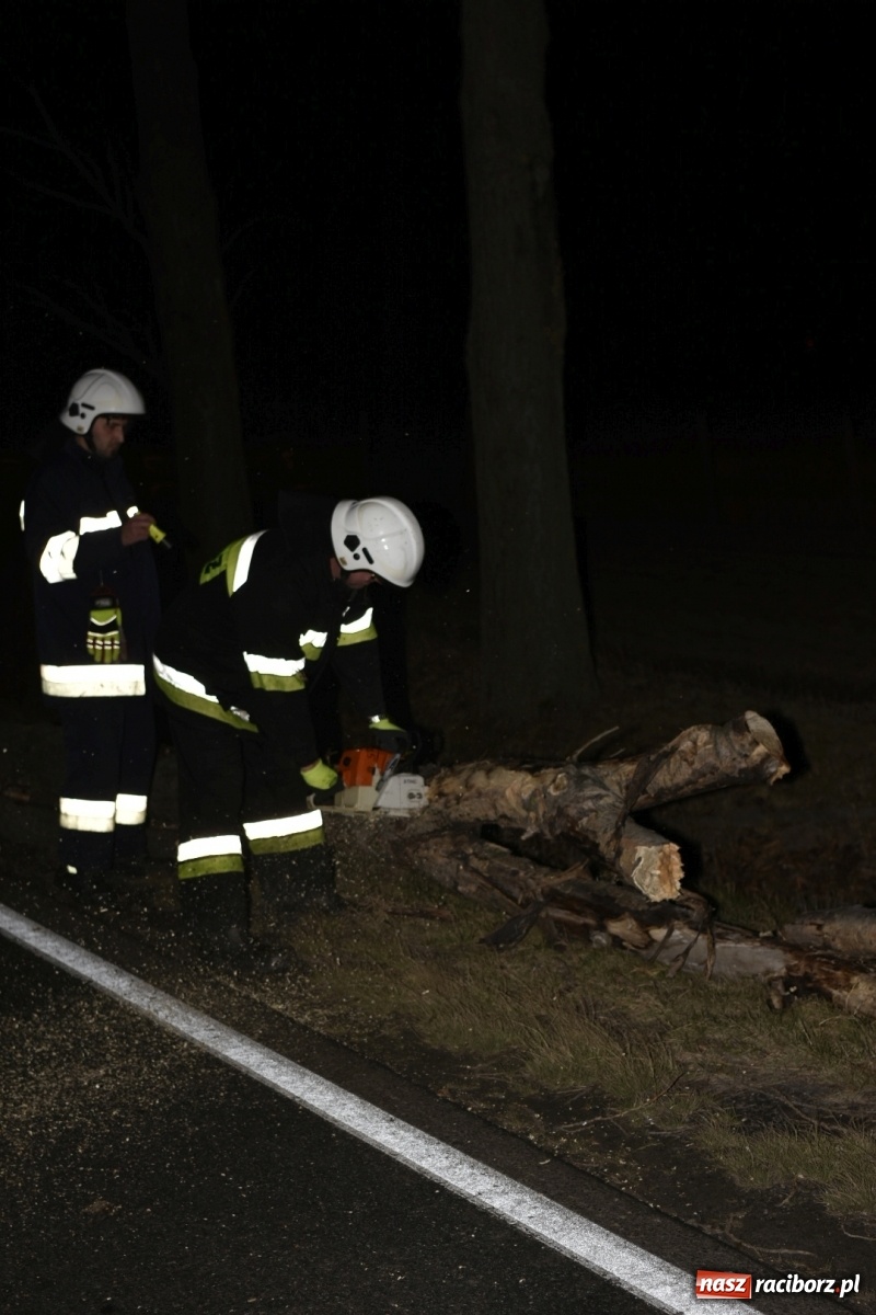 Zdjęcie w galerii na portalu naszraciborz.pl: Drzewo uszkodziło samochód na drodze Pietrowice Wielkie-Kietrz  wiadomości z regionu