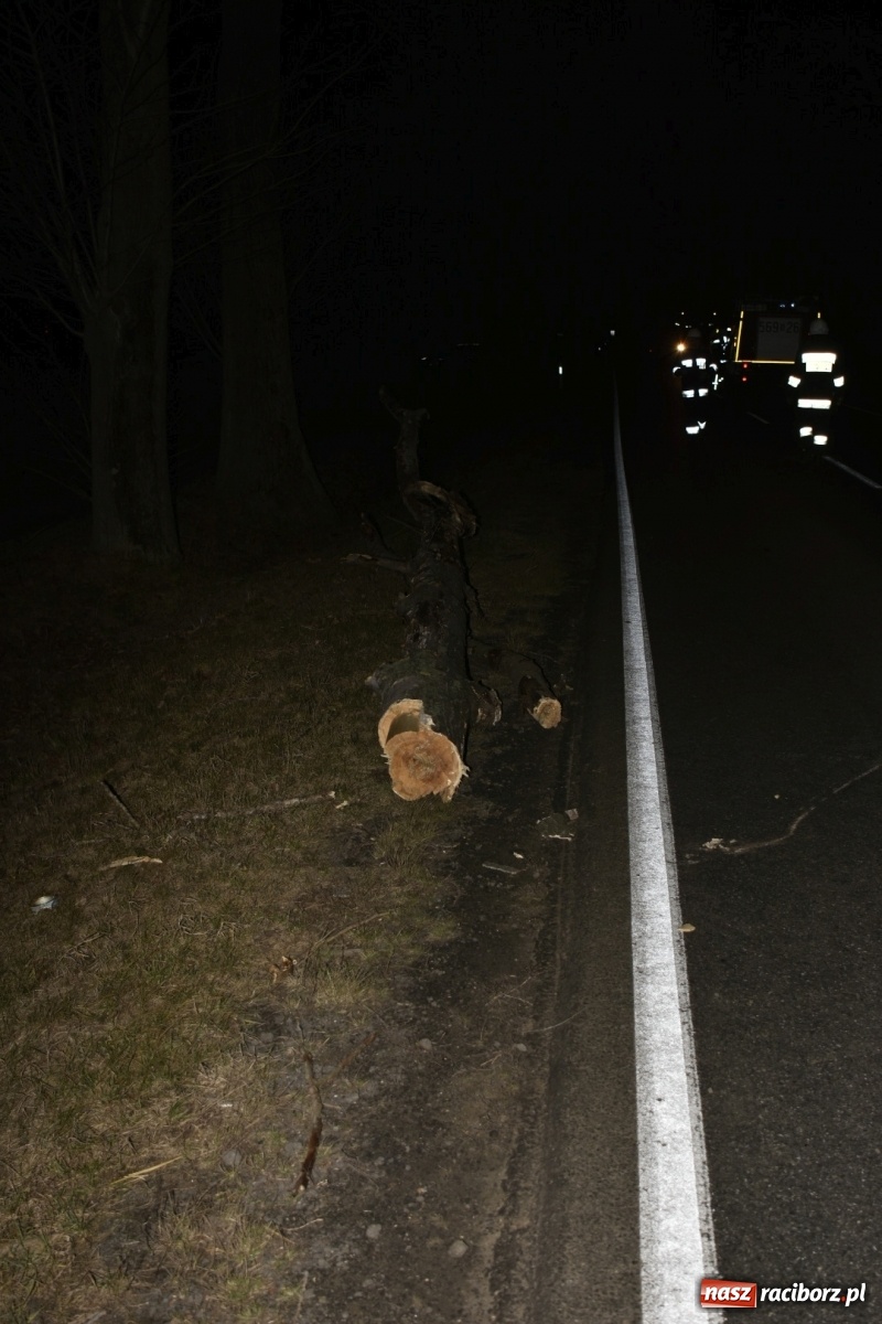 Zdjęcie w galerii na portalu naszraciborz.pl: Drzewo uszkodziło samochód na drodze Pietrowice Wielkie-Kietrz  wiadomości z regionu