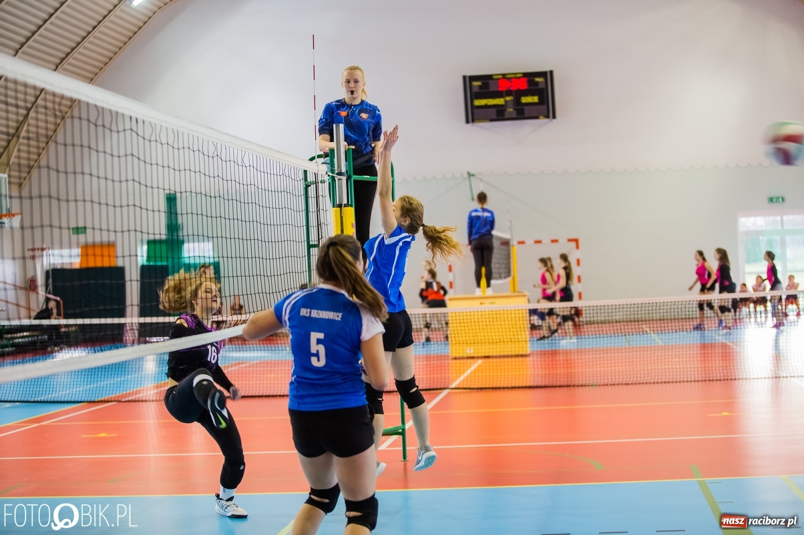 Zdjęcie w galerii na portalu naszraciborz.pl: Turniej Piłki Siatkowej Dziewcząt w Krzanowicach wiadomości z regionu