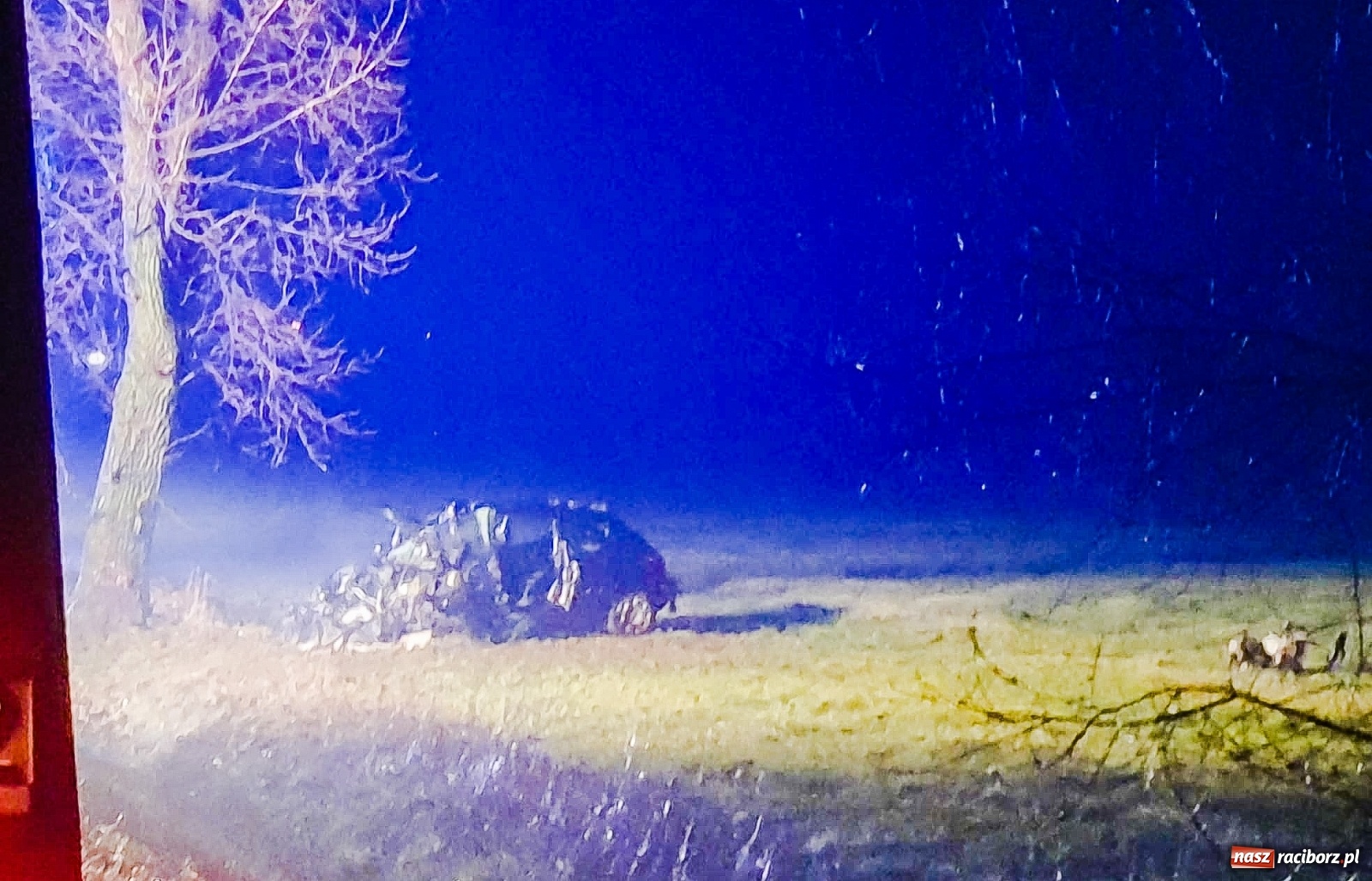 Zdjęcie w galerii na portalu naszraciborz.pl: Tragedia na DW 416. Raciborzanin uderzył w drzewo  wiadomości z regionu