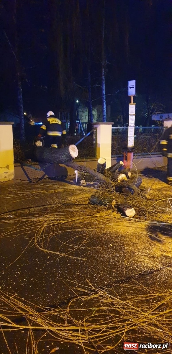 Zdjęcie w galerii na portalu naszraciborz.pl: Kobieta zatruta czadem w Krzanowicach. Powalone drzewo na Ocicach  wiadomości z regionu