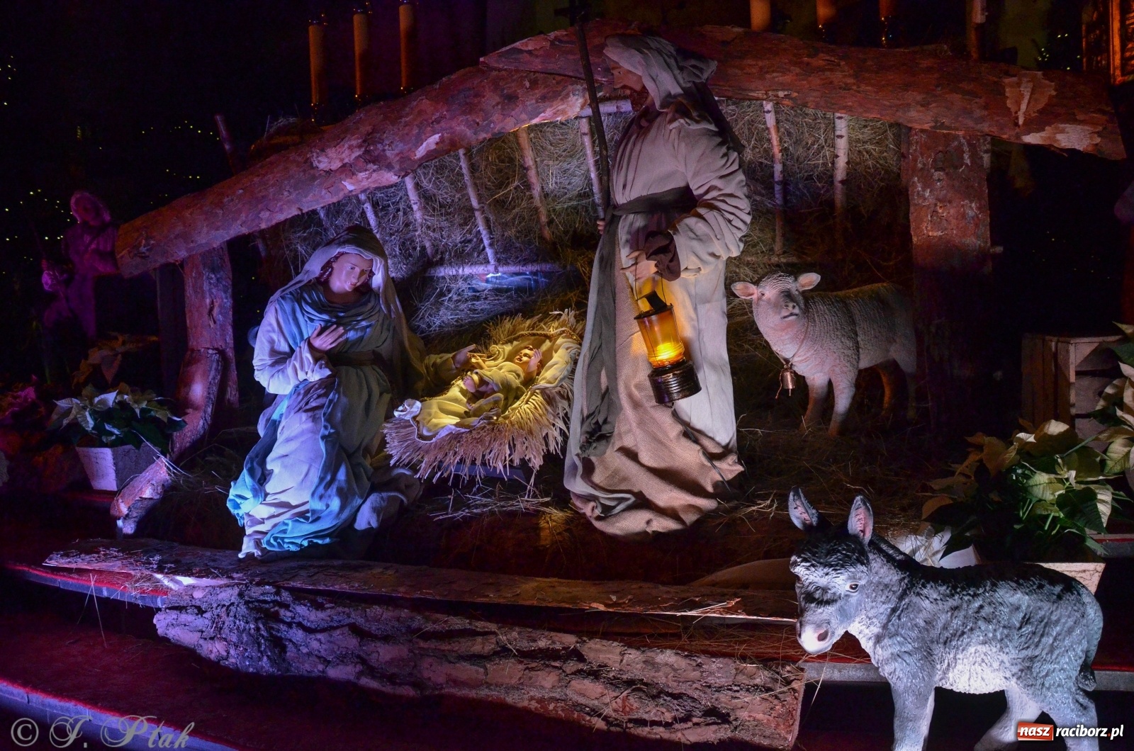Zdjęcie w galerii na portalu naszraciborz.pl: Szopki raciborskie AD 2019  wiadomości z regionu