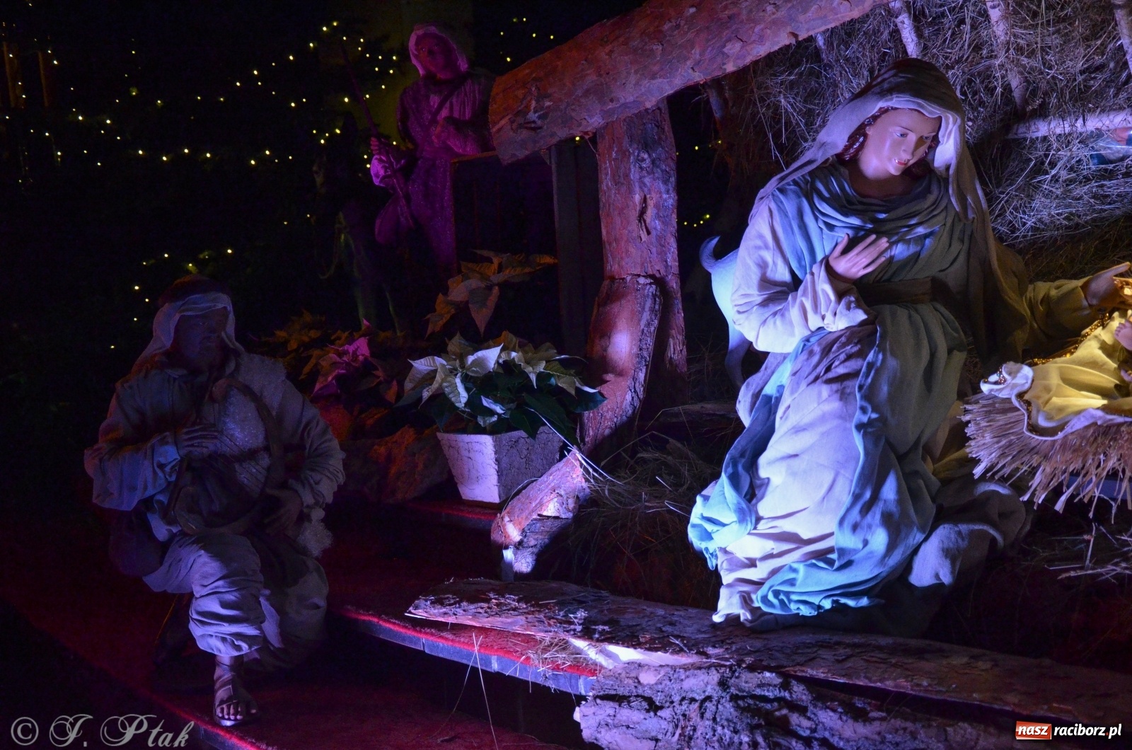 Zdjęcie w galerii na portalu naszraciborz.pl: Szopki raciborskie AD 2019  wiadomości z regionu
