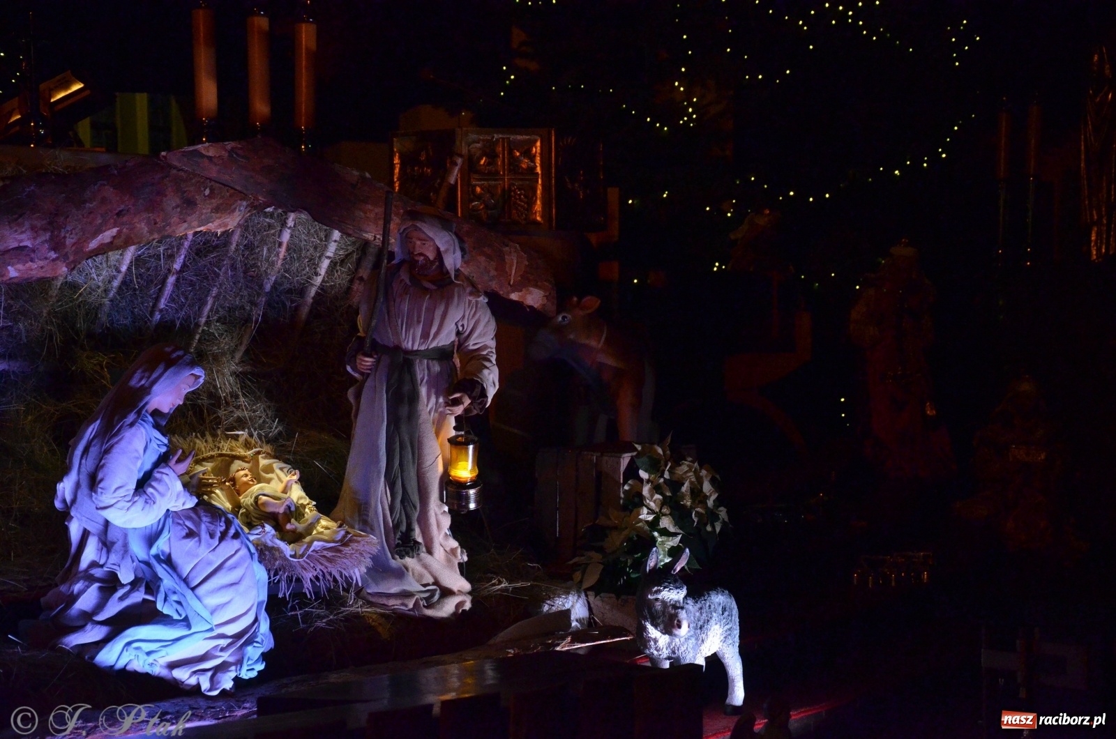 Zdjęcie w galerii na portalu naszraciborz.pl: Szopki raciborskie AD 2019  wiadomości z regionu