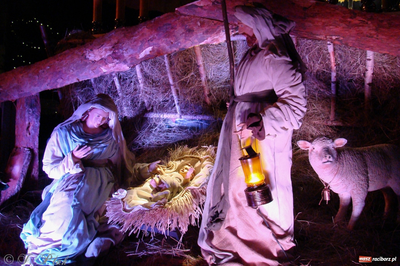 Zdjęcie w galerii na portalu naszraciborz.pl: Szopki raciborskie AD 2019  wiadomości z regionu