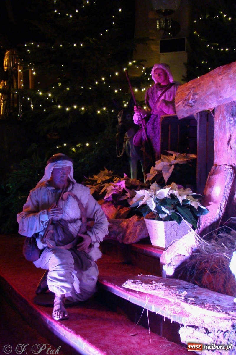 Zdjęcie w galerii na portalu naszraciborz.pl: Szopki raciborskie AD 2019  wiadomości z regionu