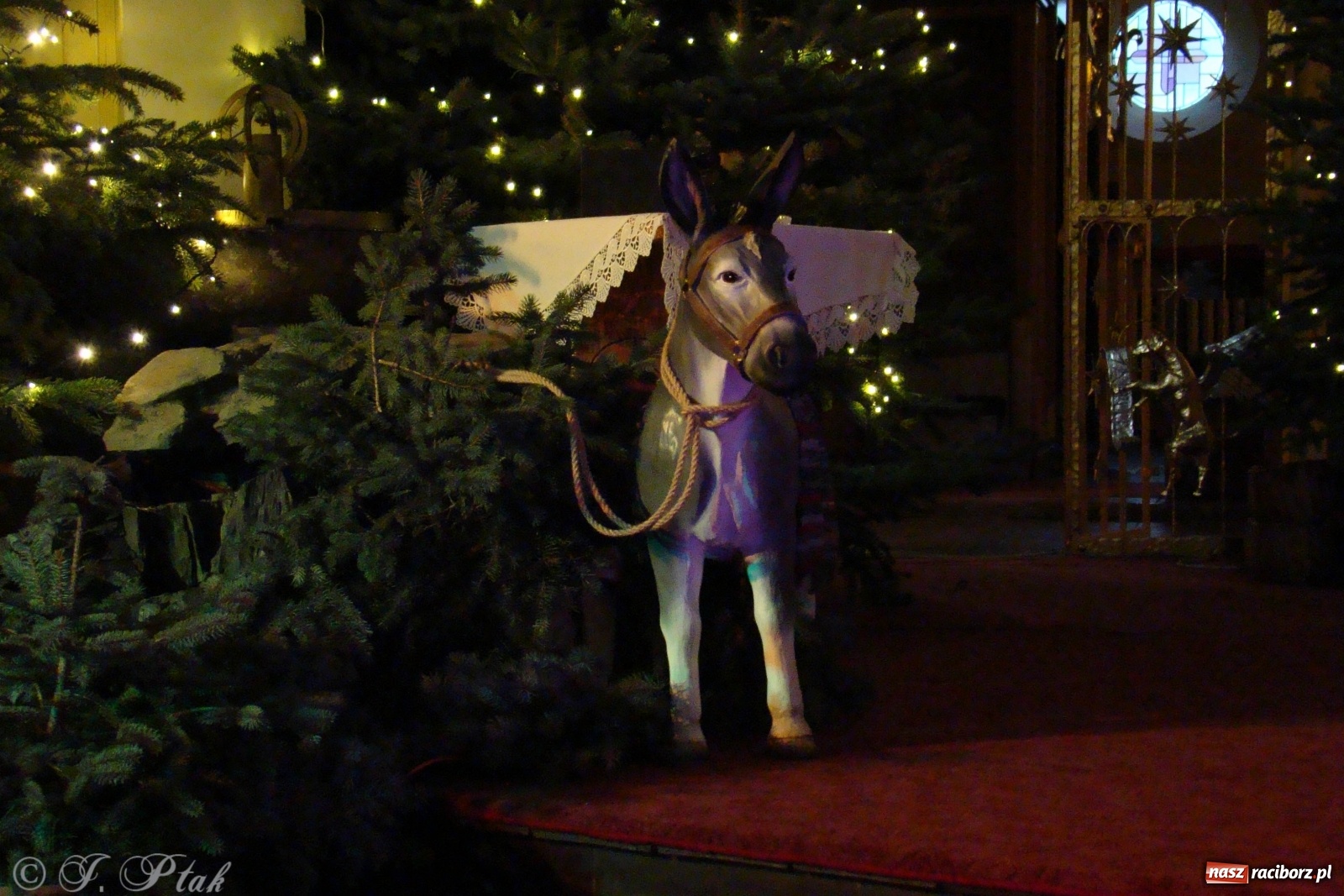 Zdjęcie w galerii na portalu naszraciborz.pl: Szopki raciborskie AD 2019  wiadomości z regionu