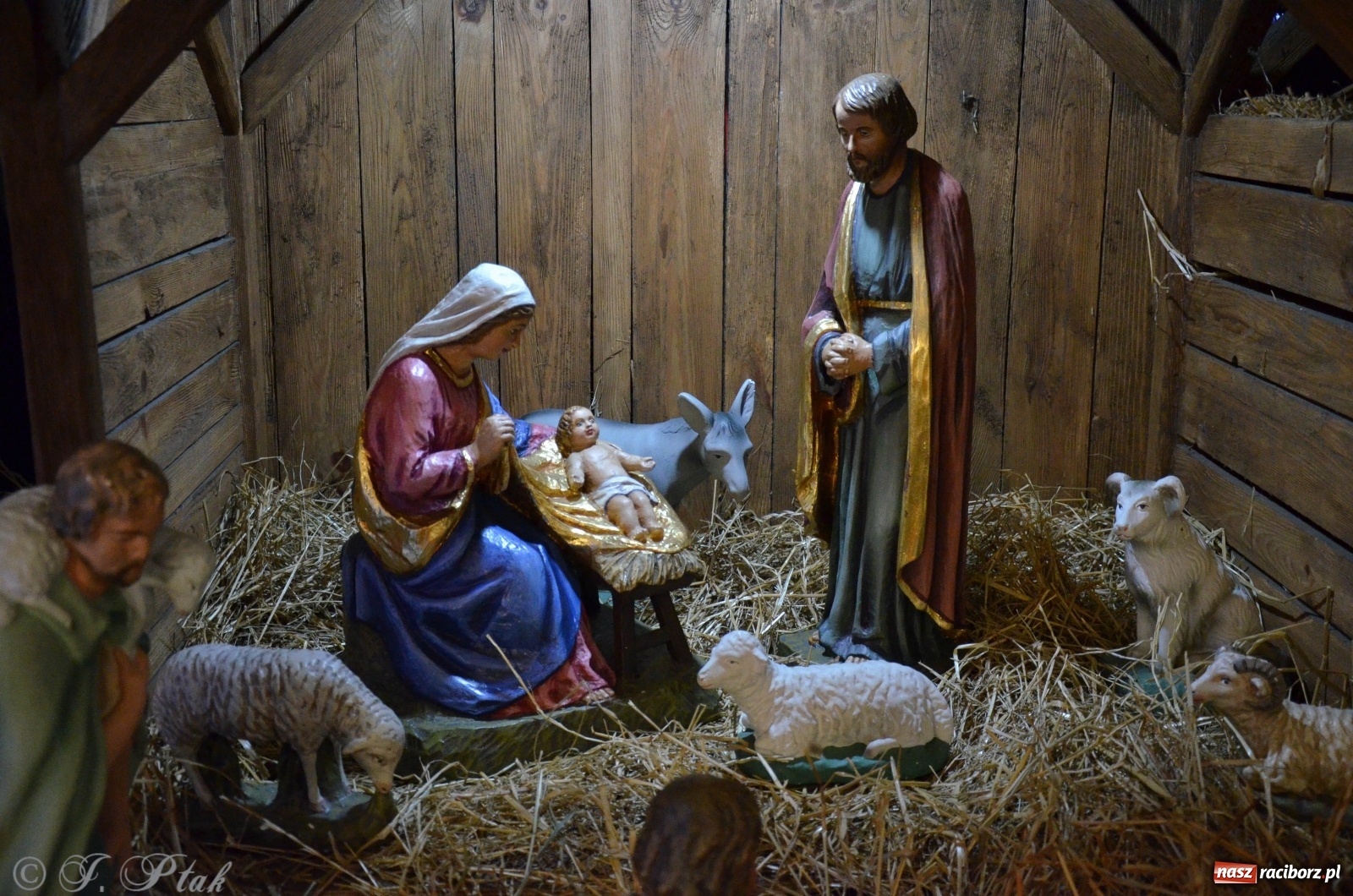 Zdjęcie w galerii na portalu naszraciborz.pl: Szopki raciborskie AD 2019  wiadomości z regionu