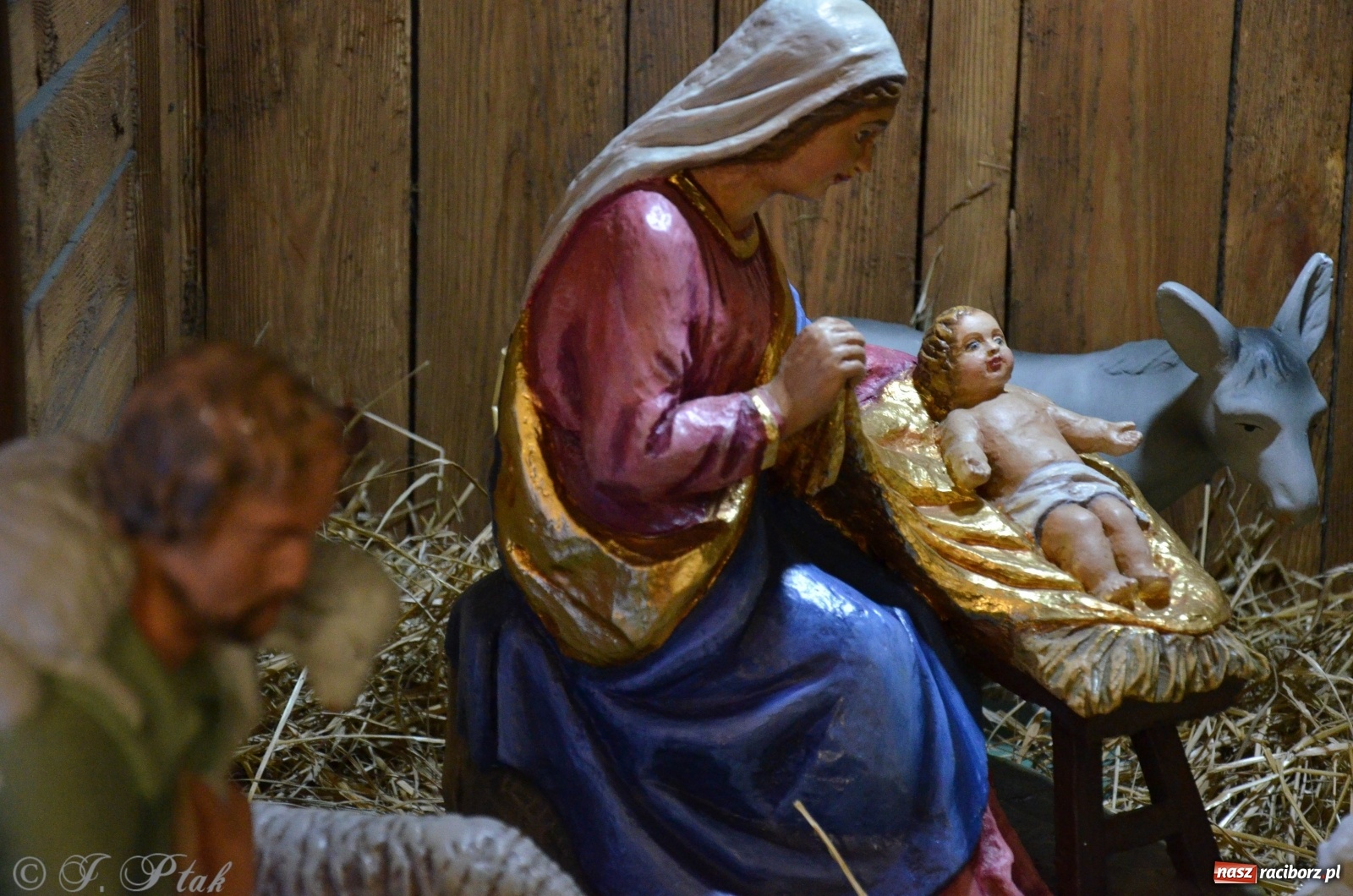 Zdjęcie w galerii na portalu naszraciborz.pl: Szopki raciborskie AD 2019  wiadomości z regionu