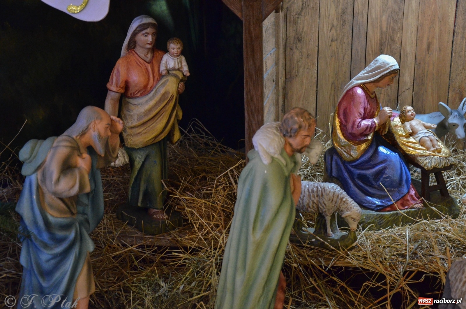 Zdjęcie w galerii na portalu naszraciborz.pl: Szopki raciborskie AD 2019  wiadomości z regionu