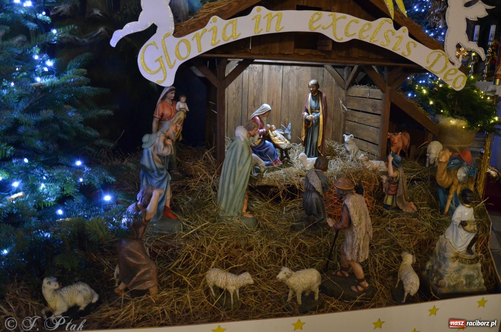 Zdjęcie w galerii na portalu naszraciborz.pl: Szopki raciborskie AD 2019  wiadomości z regionu