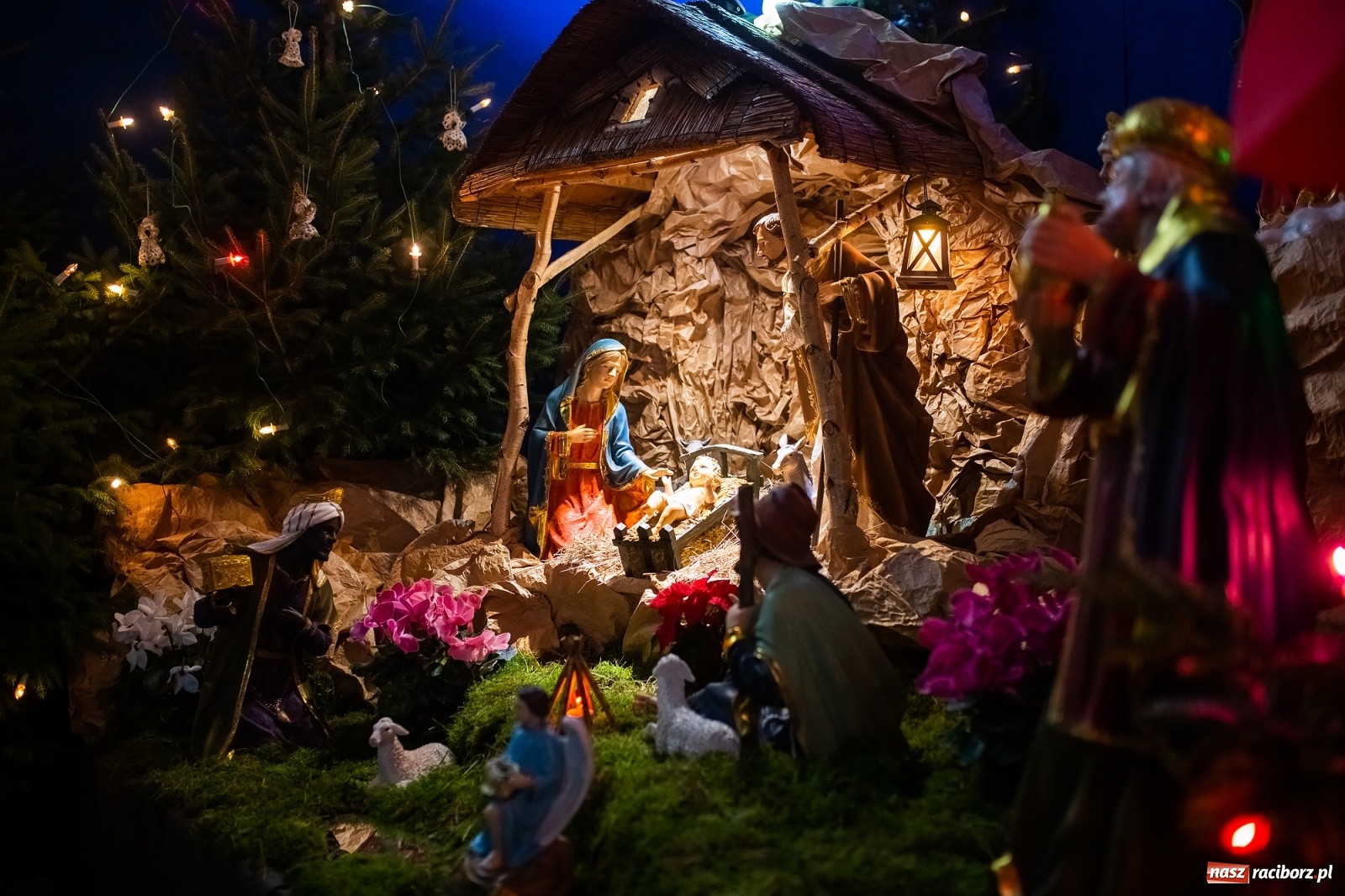 Zdjęcie w galerii na portalu naszraciborz.pl: Szopki raciborskie AD 2019  wiadomości z regionu