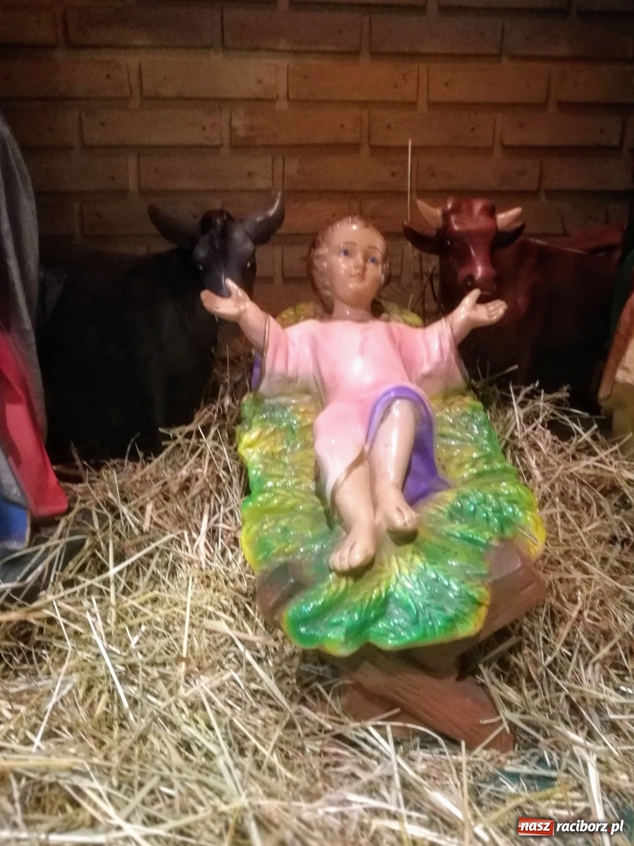 Zdjęcie w galerii na portalu naszraciborz.pl: Szopki raciborskie AD 2019  wiadomości z regionu