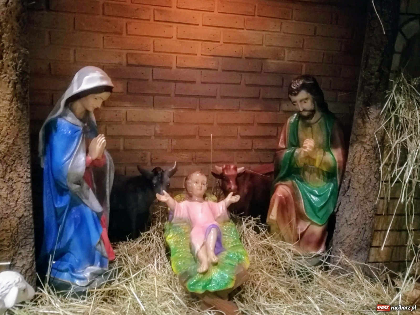 Zdjęcie w galerii na portalu naszraciborz.pl: Szopki raciborskie AD 2019  wiadomości z regionu