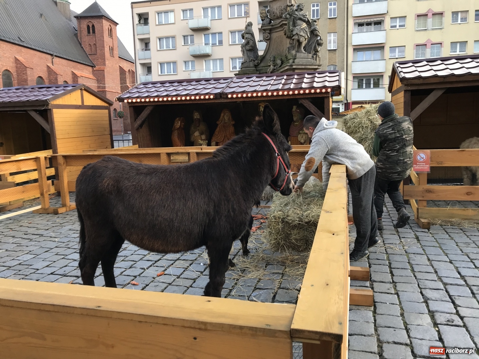 Zdjęcie w galerii na portalu naszraciborz.pl: Na raciborskim Rynku stanęła żywa szopka [FOTO i WIDEO] wiadomości z regionu