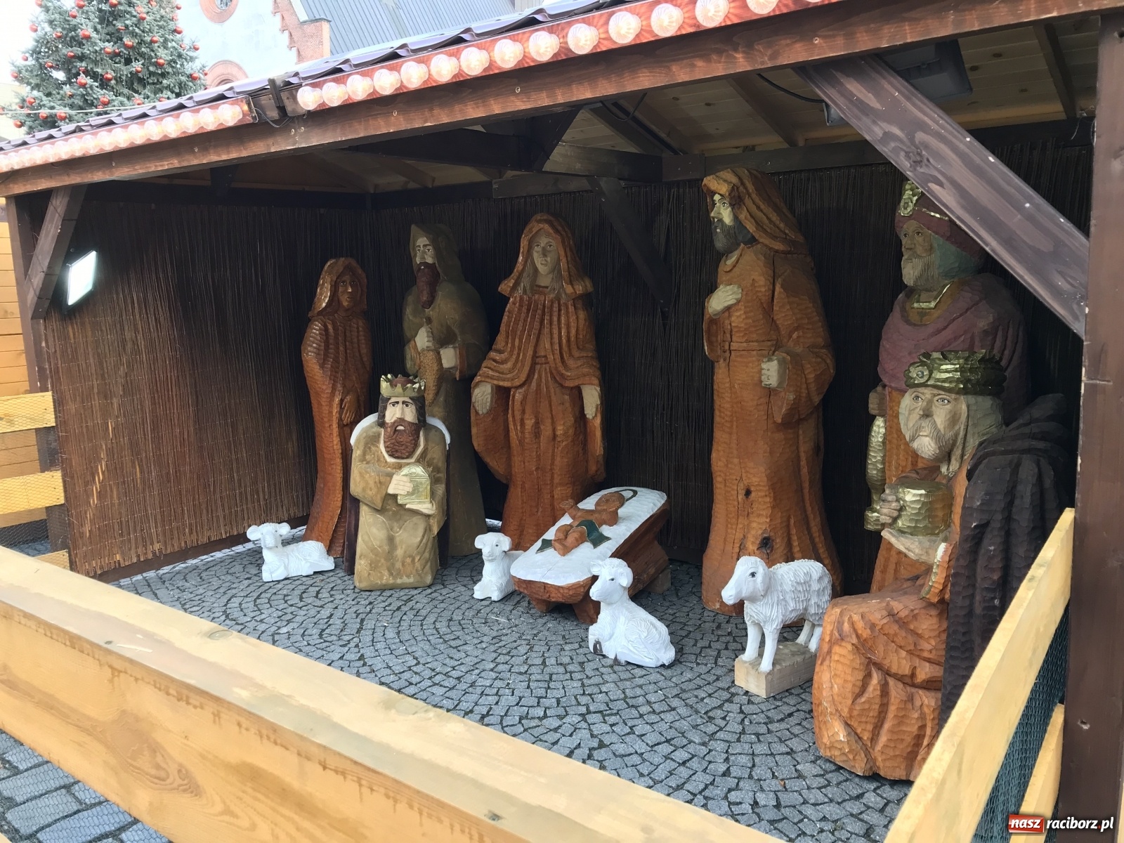 Zdjęcie w galerii na portalu naszraciborz.pl: Na raciborskim Rynku stanęła żywa szopka [FOTO i WIDEO] wiadomości z regionu