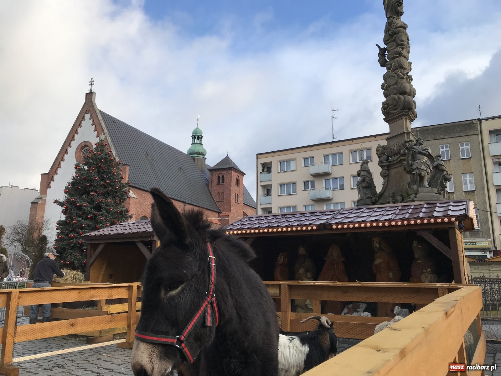 Zdjęcie w galerii na portalu naszraciborz.pl: Na raciborskim Rynku stanęła żywa szopka [FOTO i WIDEO] wiadomości z regionu