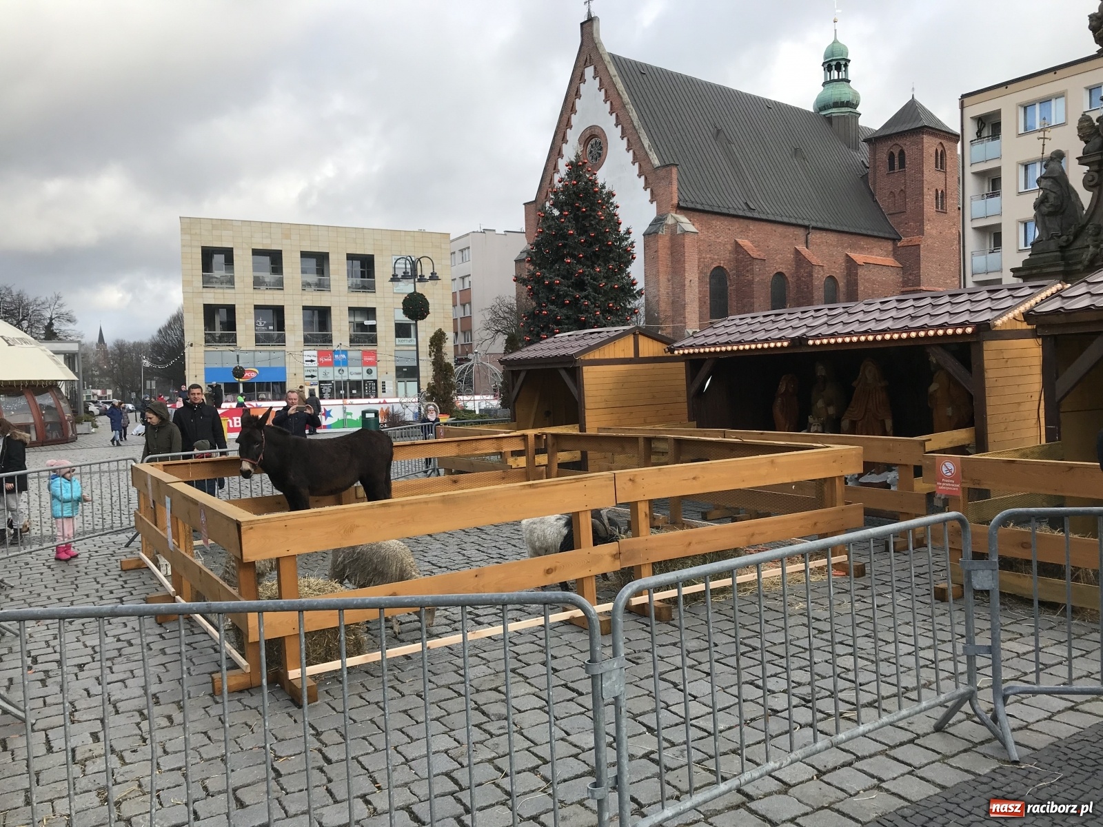 Zdjęcie w galerii na portalu naszraciborz.pl: Na raciborskim Rynku stanęła żywa szopka [FOTO i WIDEO] wiadomości z regionu