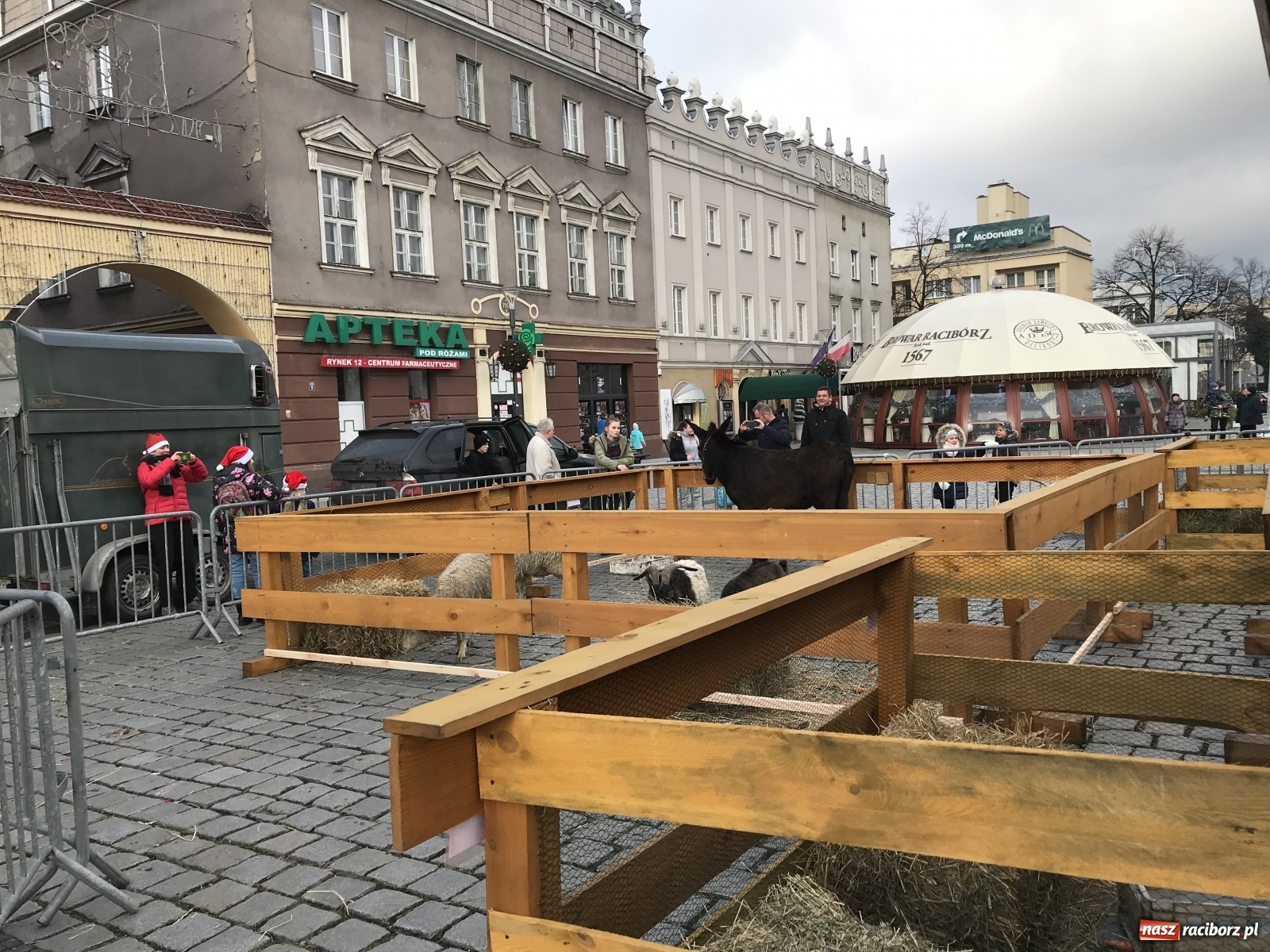 Zdjęcie w galerii na portalu naszraciborz.pl: Na raciborskim Rynku stanęła żywa szopka [FOTO i WIDEO] wiadomości z regionu