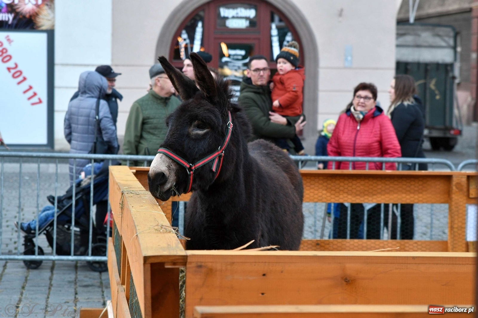 Zdjęcie w galerii na portalu naszraciborz.pl: Na raciborskim Rynku stanęła żywa szopka [FOTO i WIDEO] wiadomości z regionu