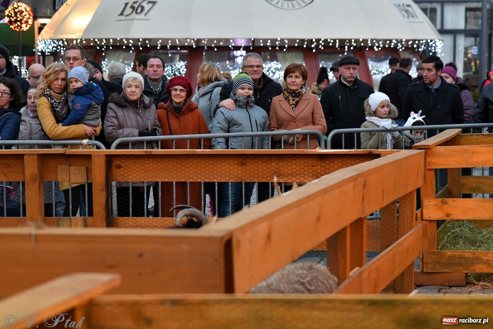 Zdjęcie w galerii na portalu naszraciborz.pl: Raciborskie kolędowanie na Rynku [FOTO i WIDEO] wiadomości z regionu