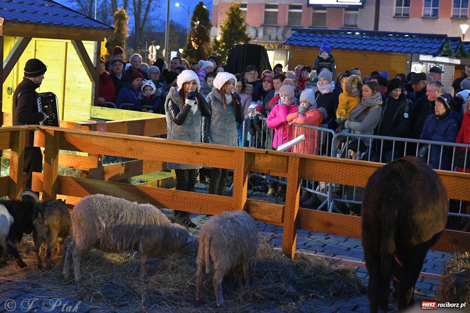 Zdjęcie w galerii na portalu naszraciborz.pl: Raciborskie kolędowanie na Rynku [FOTO i WIDEO] wiadomości z regionu