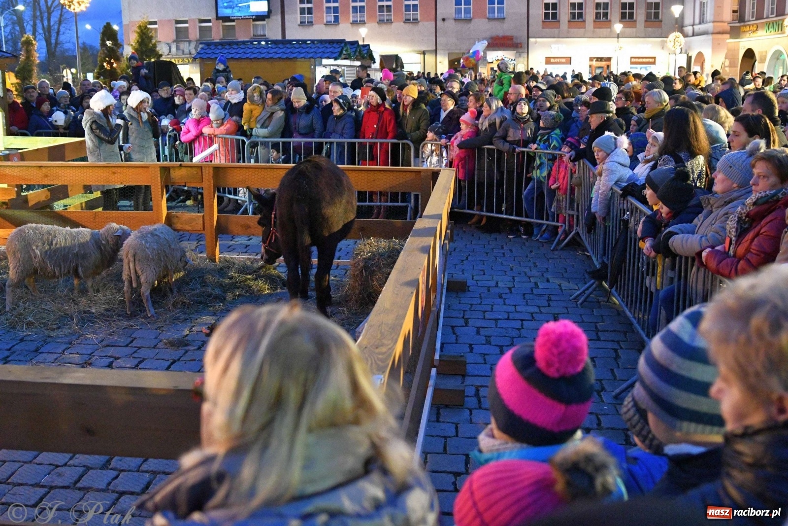 Zdjęcie w galerii na portalu naszraciborz.pl: Raciborskie kolędowanie na Rynku [FOTO i WIDEO] wiadomości z regionu