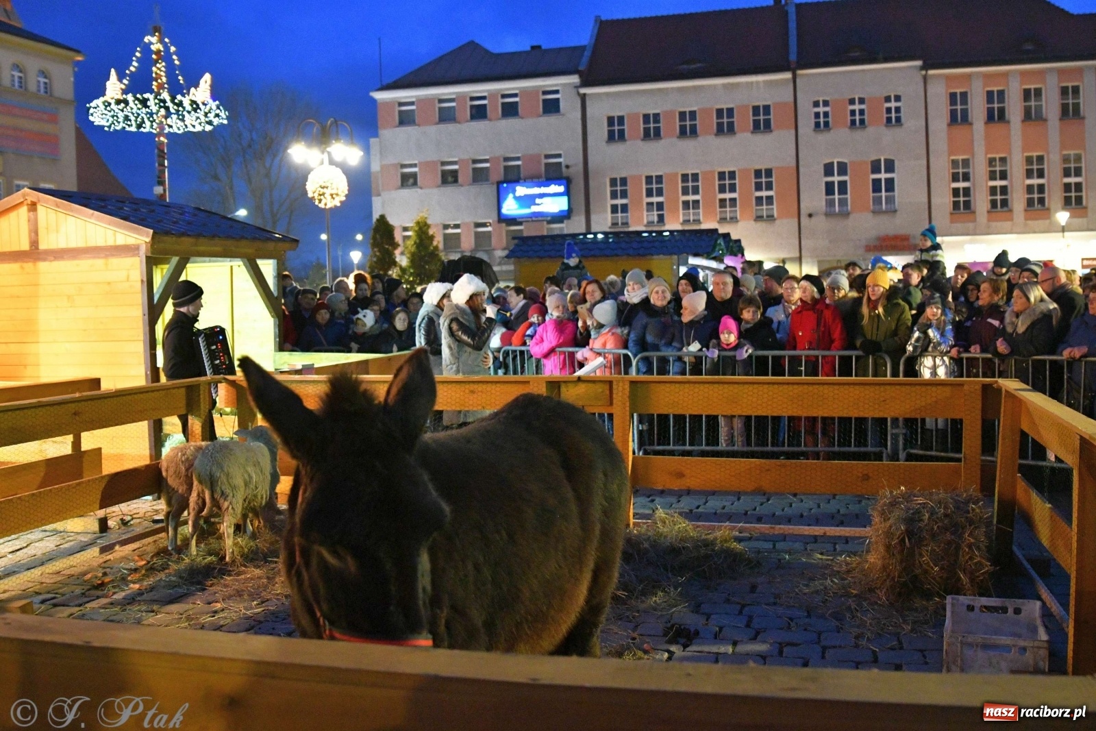 Zdjęcie w galerii na portalu naszraciborz.pl: Raciborskie kolędowanie na Rynku [FOTO i WIDEO] wiadomości z regionu