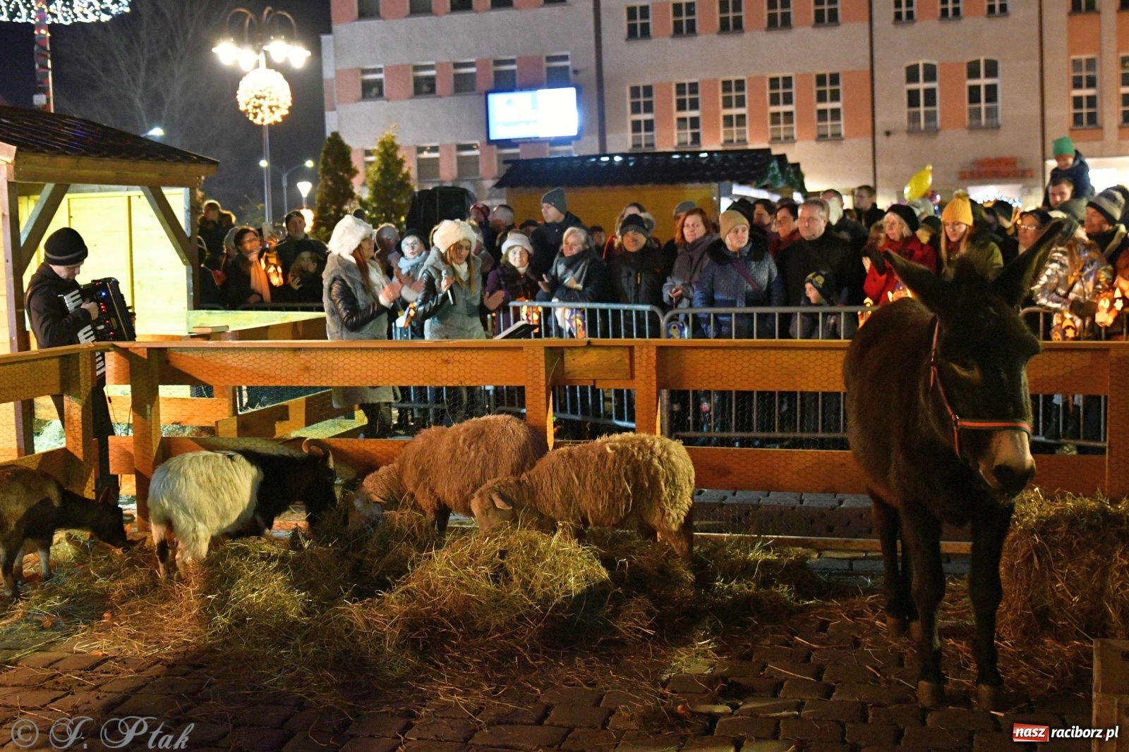 Zdjęcie w galerii na portalu naszraciborz.pl: Raciborskie kolędowanie na Rynku [FOTO i WIDEO] wiadomości z regionu