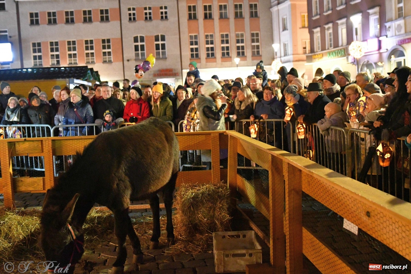Zdjęcie w galerii na portalu naszraciborz.pl: Raciborskie kolędowanie na Rynku [FOTO i WIDEO] wiadomości z regionu
