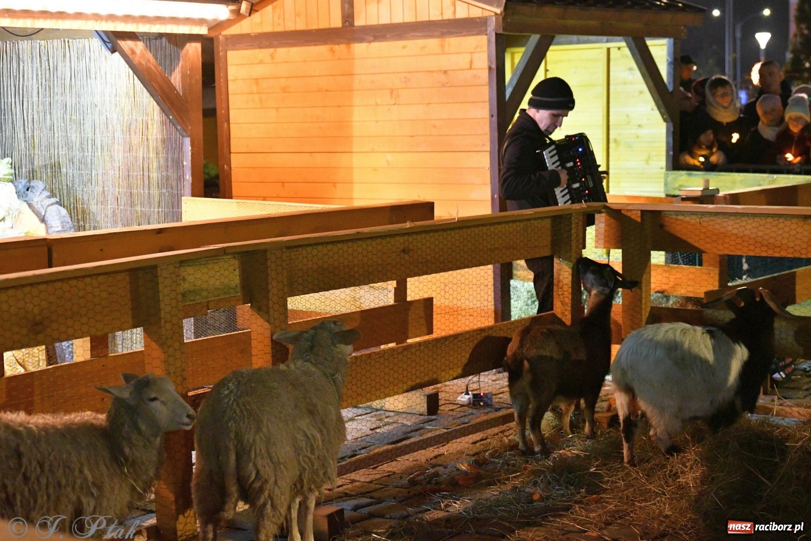 Zdjęcie w galerii na portalu naszraciborz.pl: Raciborskie kolędowanie na Rynku [FOTO i WIDEO] wiadomości z regionu