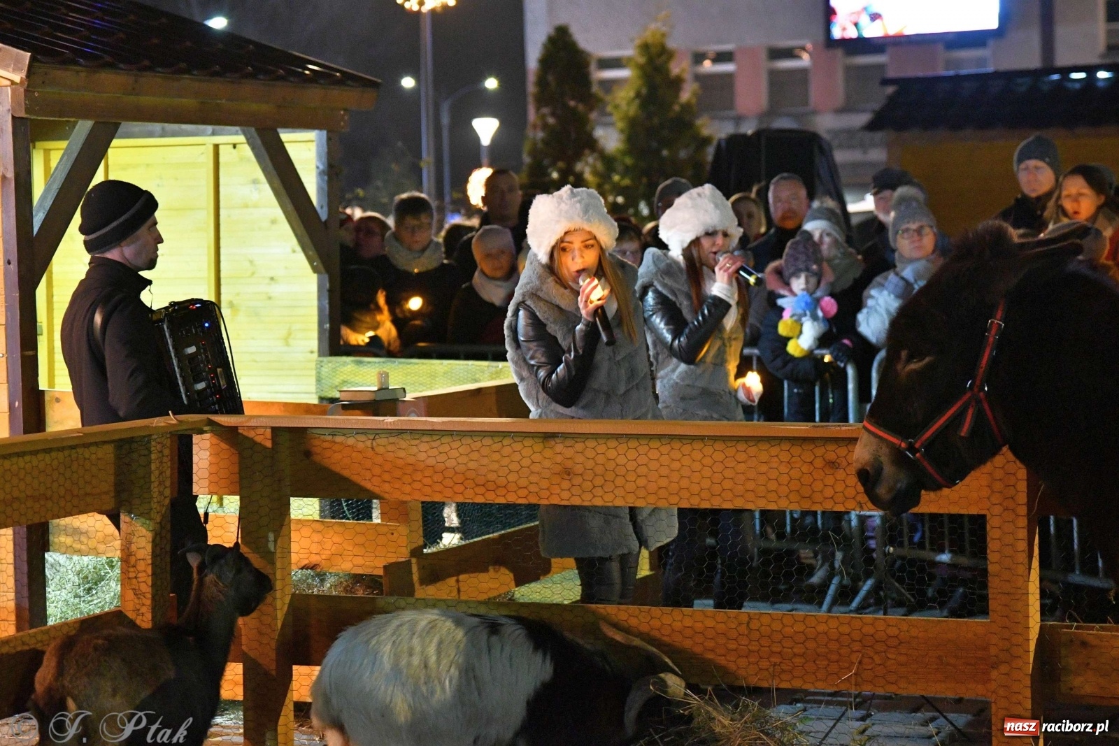 Zdjęcie w galerii na portalu naszraciborz.pl: Raciborskie kolędowanie na Rynku [FOTO i WIDEO] wiadomości z regionu