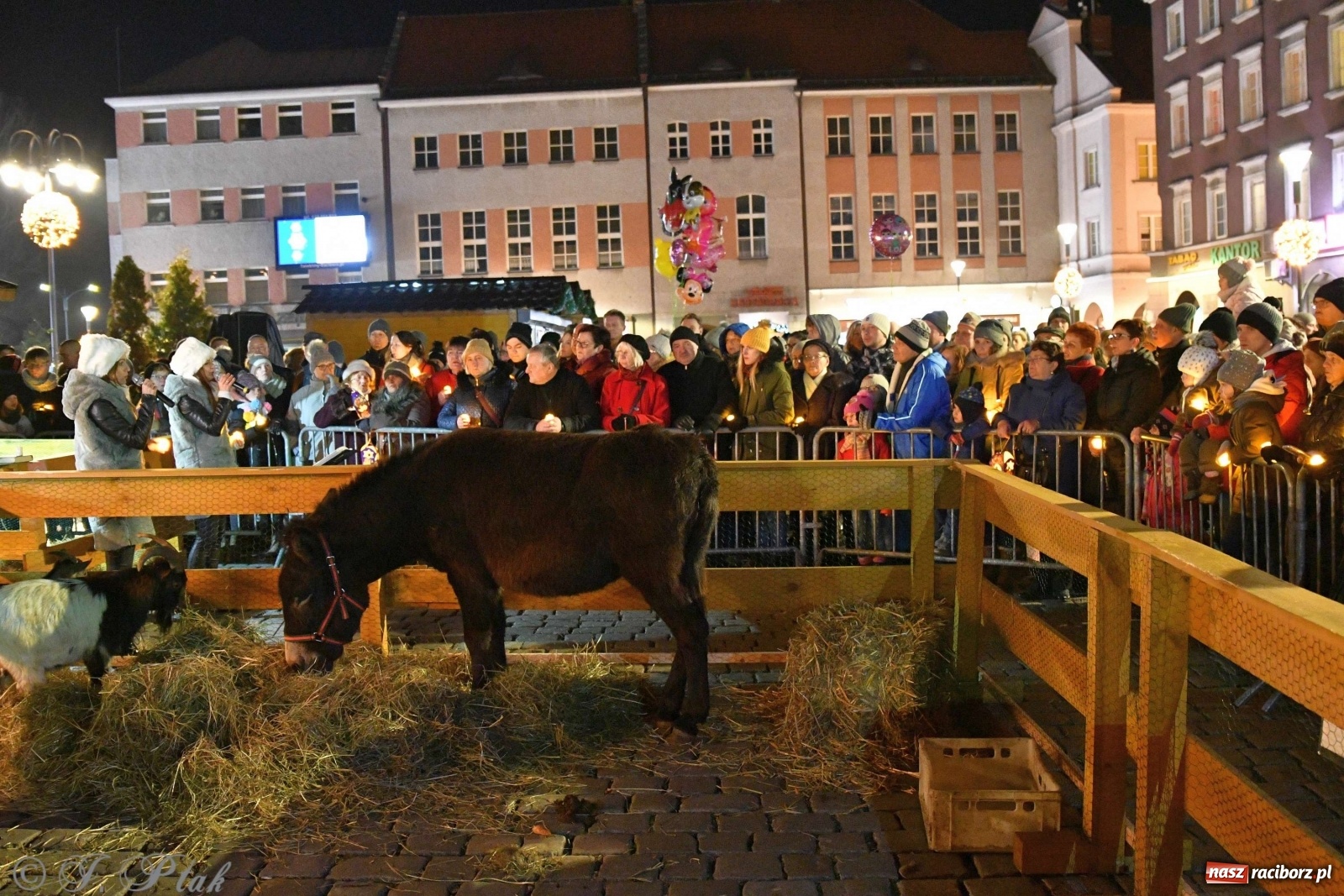 Zdjęcie w galerii na portalu naszraciborz.pl: Raciborskie kolędowanie na Rynku [FOTO i WIDEO] wiadomości z regionu