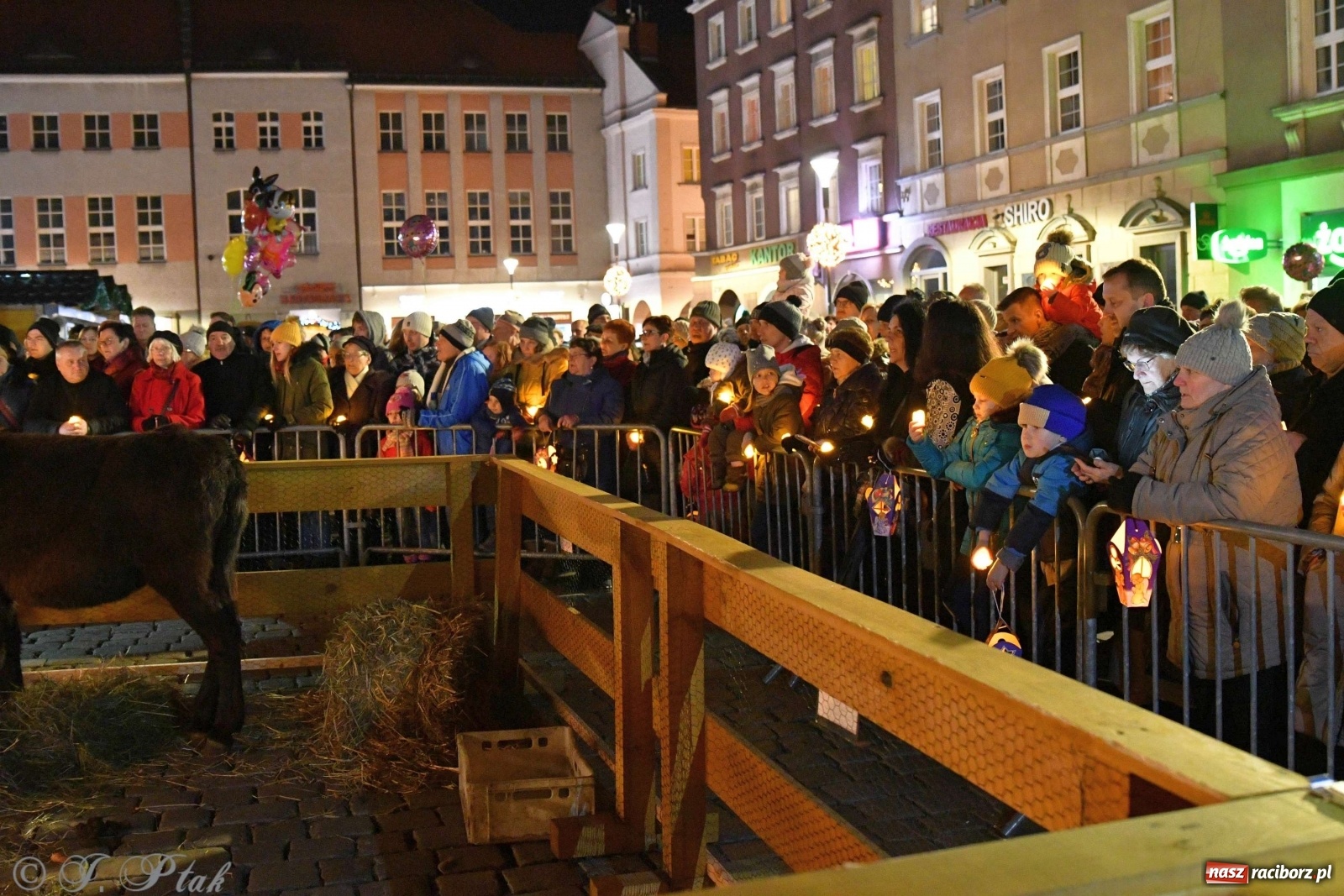 Zdjęcie w galerii na portalu naszraciborz.pl: Raciborskie kolędowanie na Rynku [FOTO i WIDEO] wiadomości z regionu