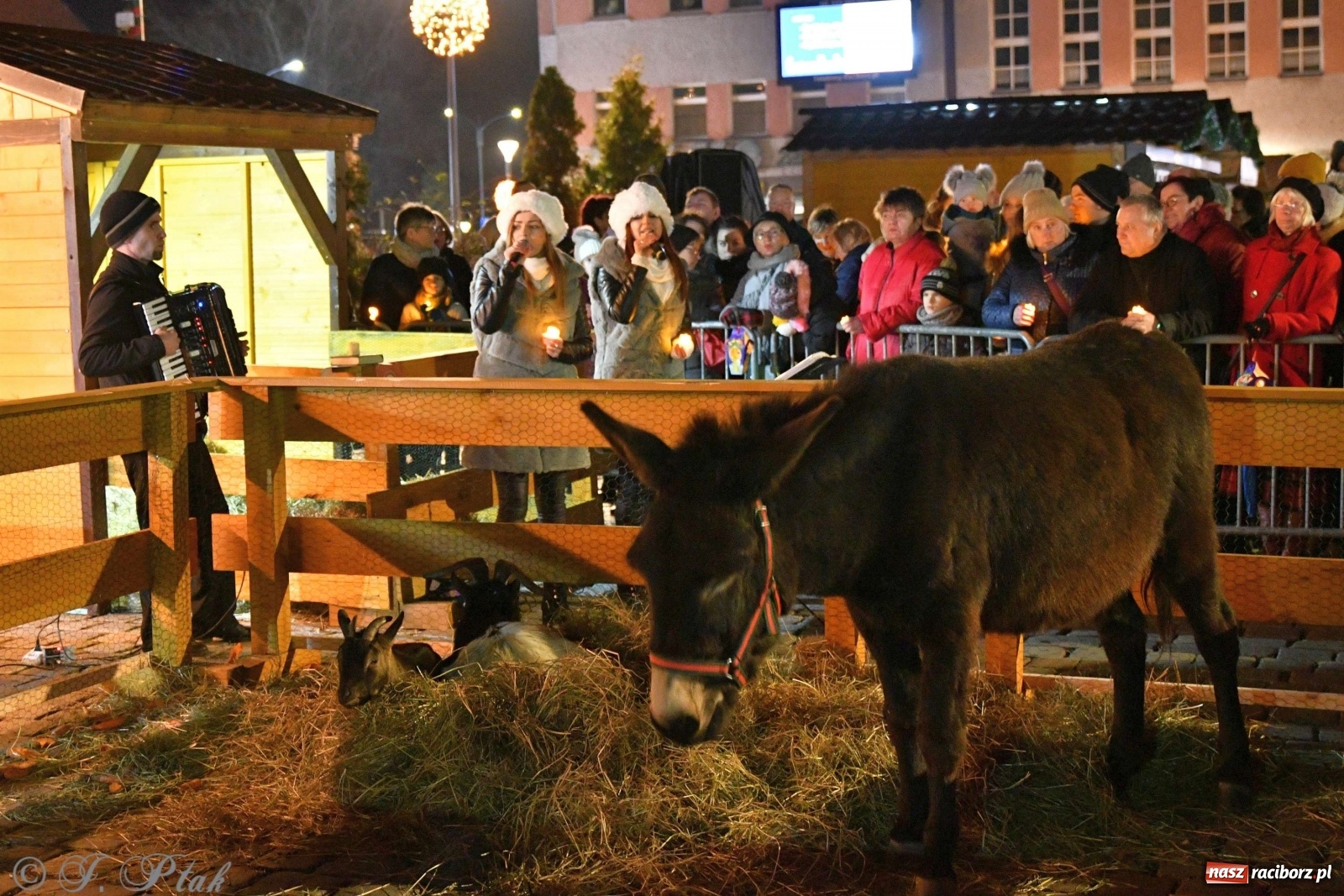 Zdjęcie w galerii na portalu naszraciborz.pl: Raciborskie kolędowanie na Rynku [FOTO i WIDEO] wiadomości z regionu