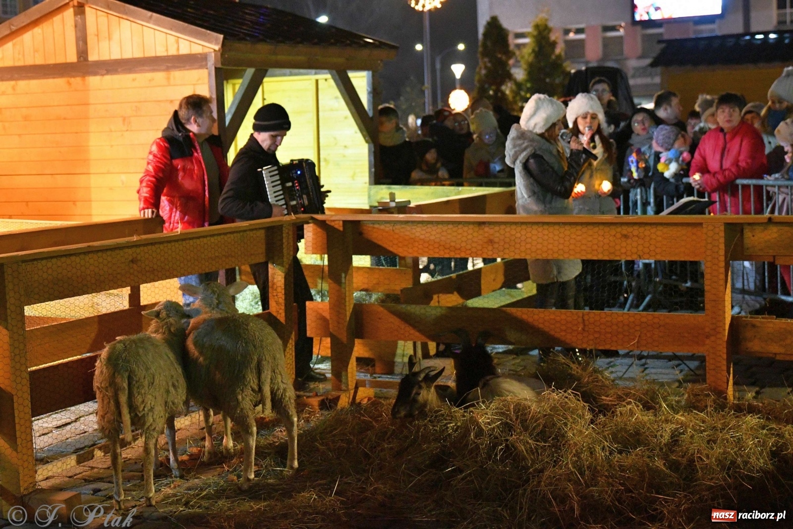 Zdjęcie w galerii na portalu naszraciborz.pl: Raciborskie kolędowanie na Rynku [FOTO i WIDEO] wiadomości z regionu