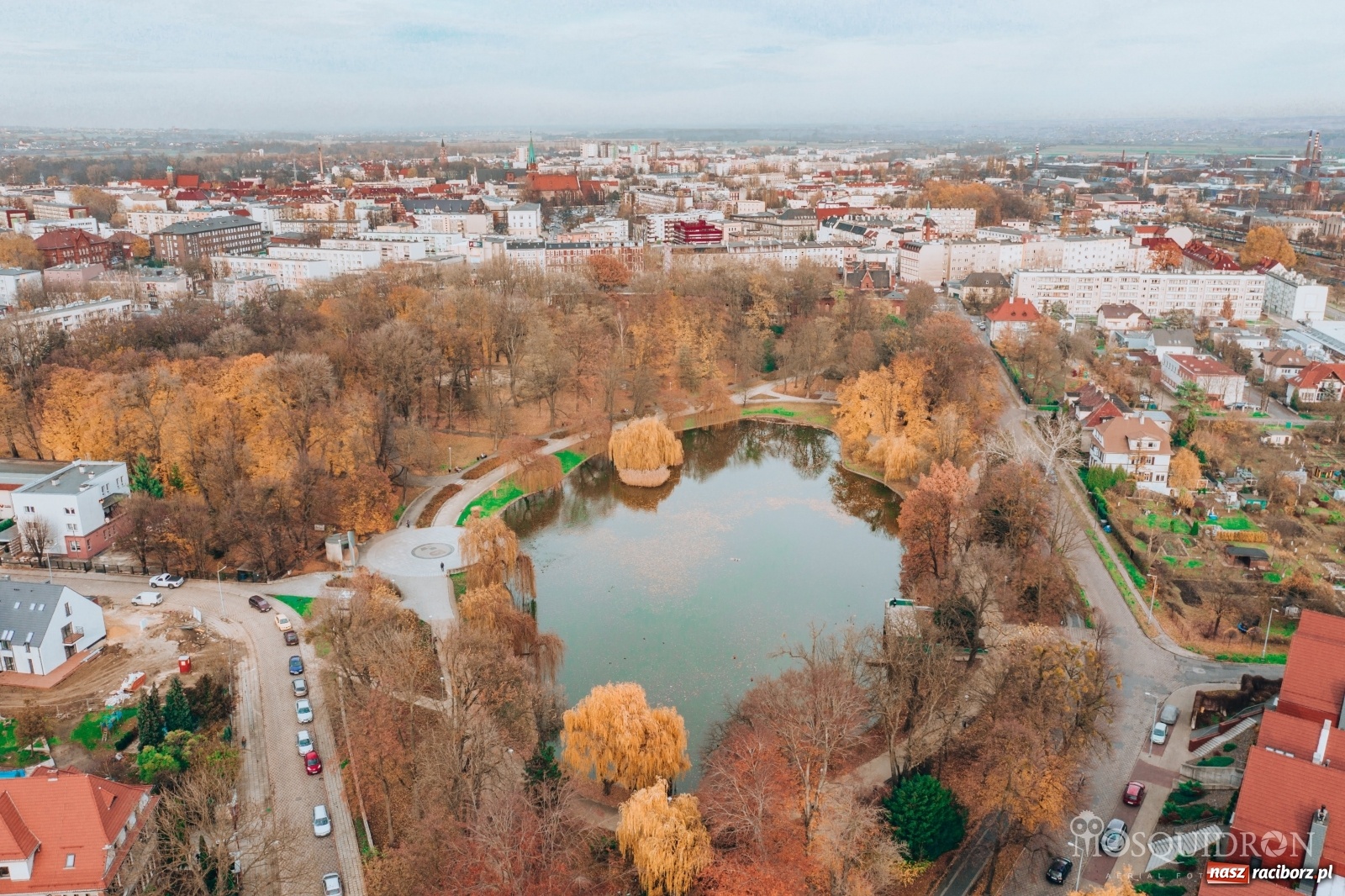 Zdjęcie w galerii na portalu naszraciborz.pl: Staw w parku Roth szybko wysycha! Racibórz cierpi przez suszę  wiadomości z regionu