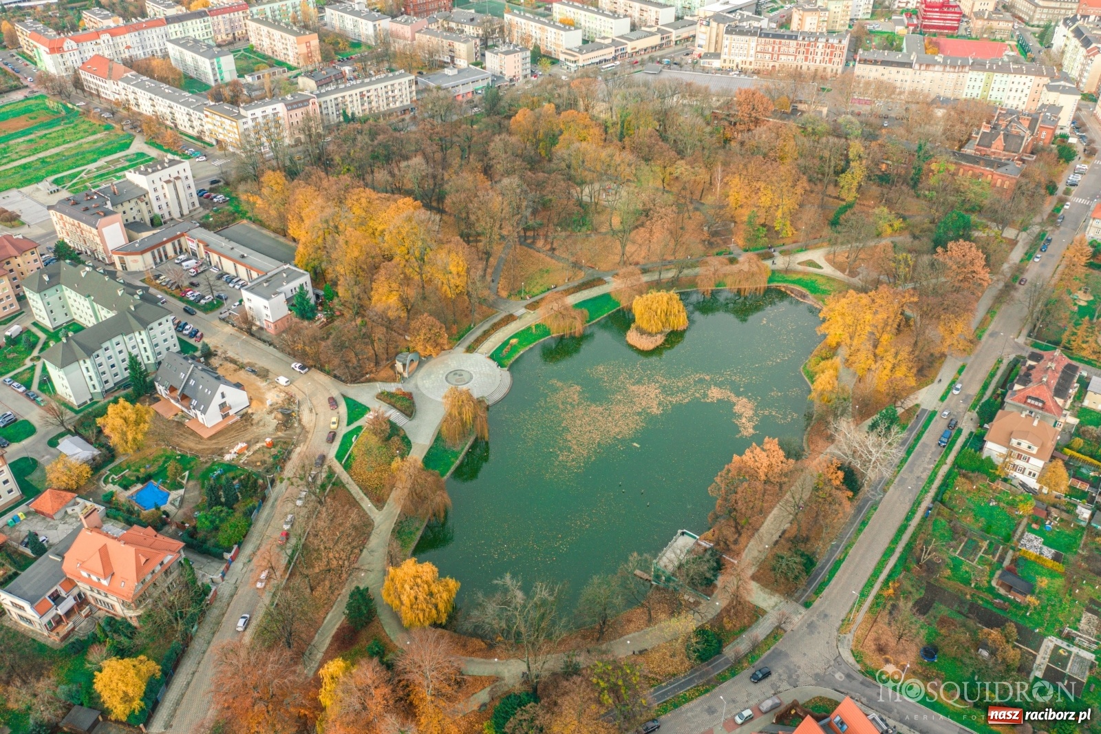 Zdjęcie w galerii na portalu naszraciborz.pl: Staw w parku Roth szybko wysycha! Racibórz cierpi przez suszę  wiadomości z regionu