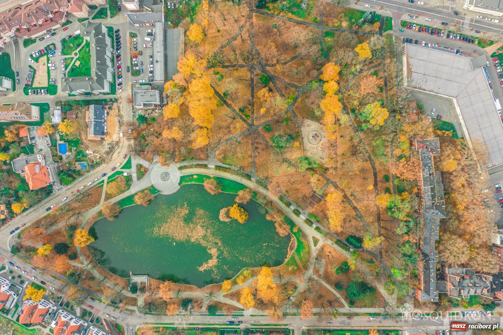 Zdjęcie w galerii na portalu naszraciborz.pl: Staw w parku Roth szybko wysycha! Racibórz cierpi przez suszę  wiadomości z regionu