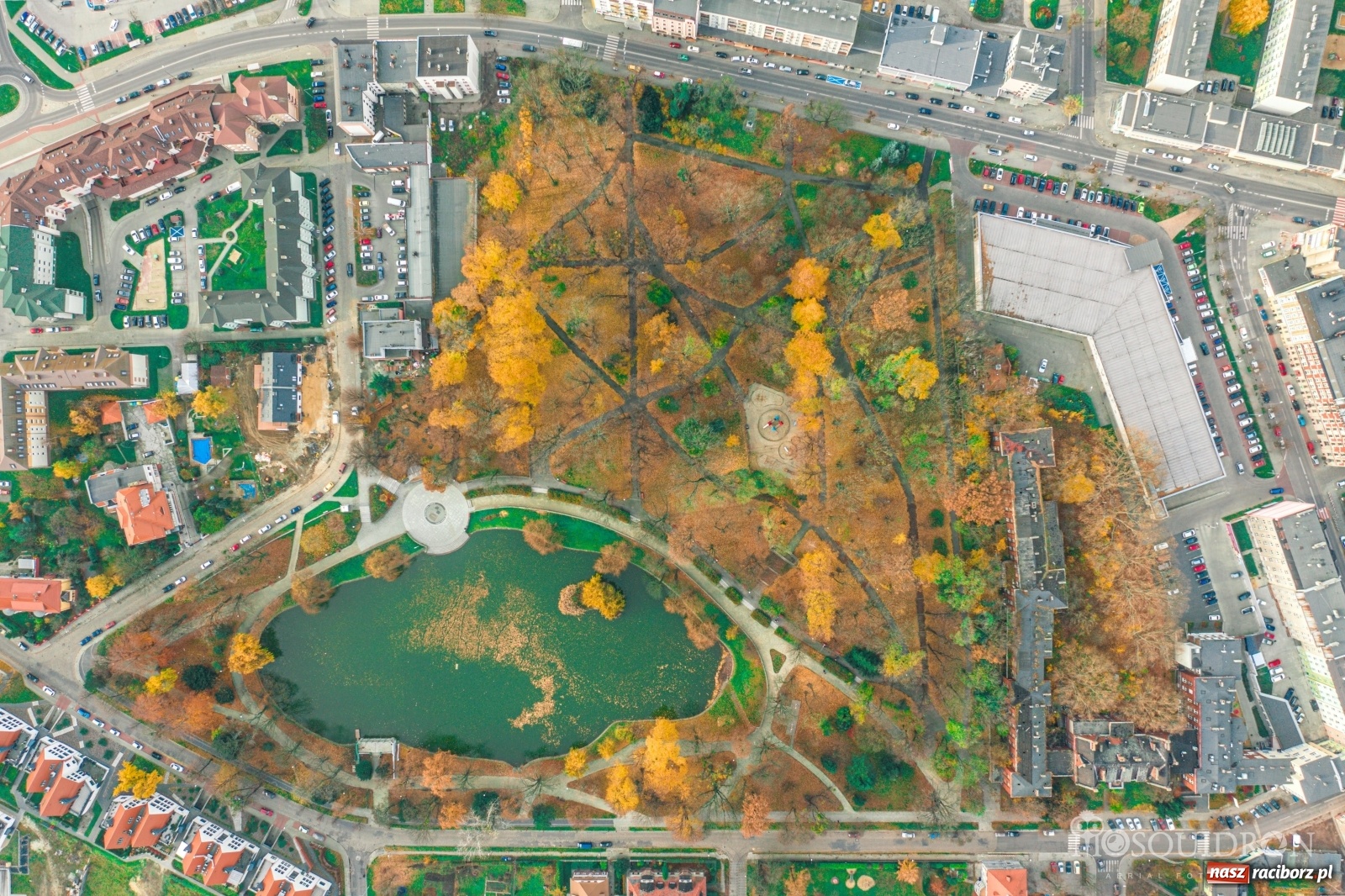 Zdjęcie w galerii na portalu naszraciborz.pl: Staw w parku Roth szybko wysycha! Racibórz cierpi przez suszę  wiadomości z regionu