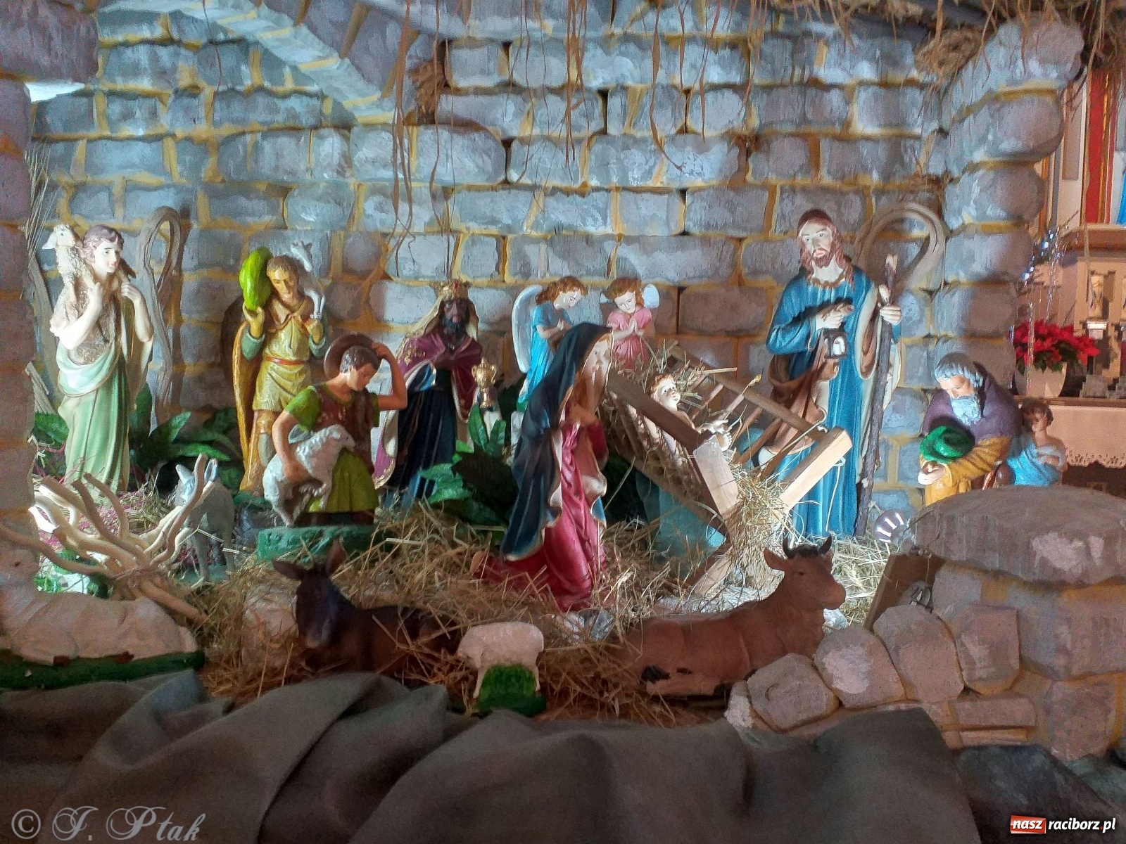 Zdjęcie w galerii na portalu naszraciborz.pl: Żywa szopka w Kobyli aż do Trzech Króli  wiadomości z regionu