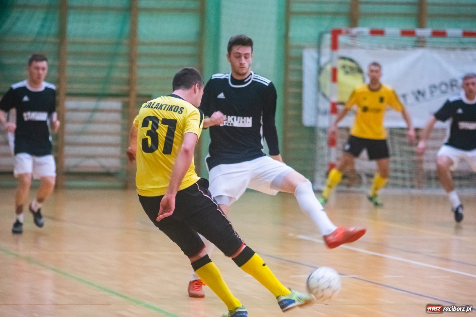 Zdjęcie w galerii na portalu naszraciborz.pl: Siódmy weekend rozgrywek HLPN za nami [FOTO] wiadomości z regionu